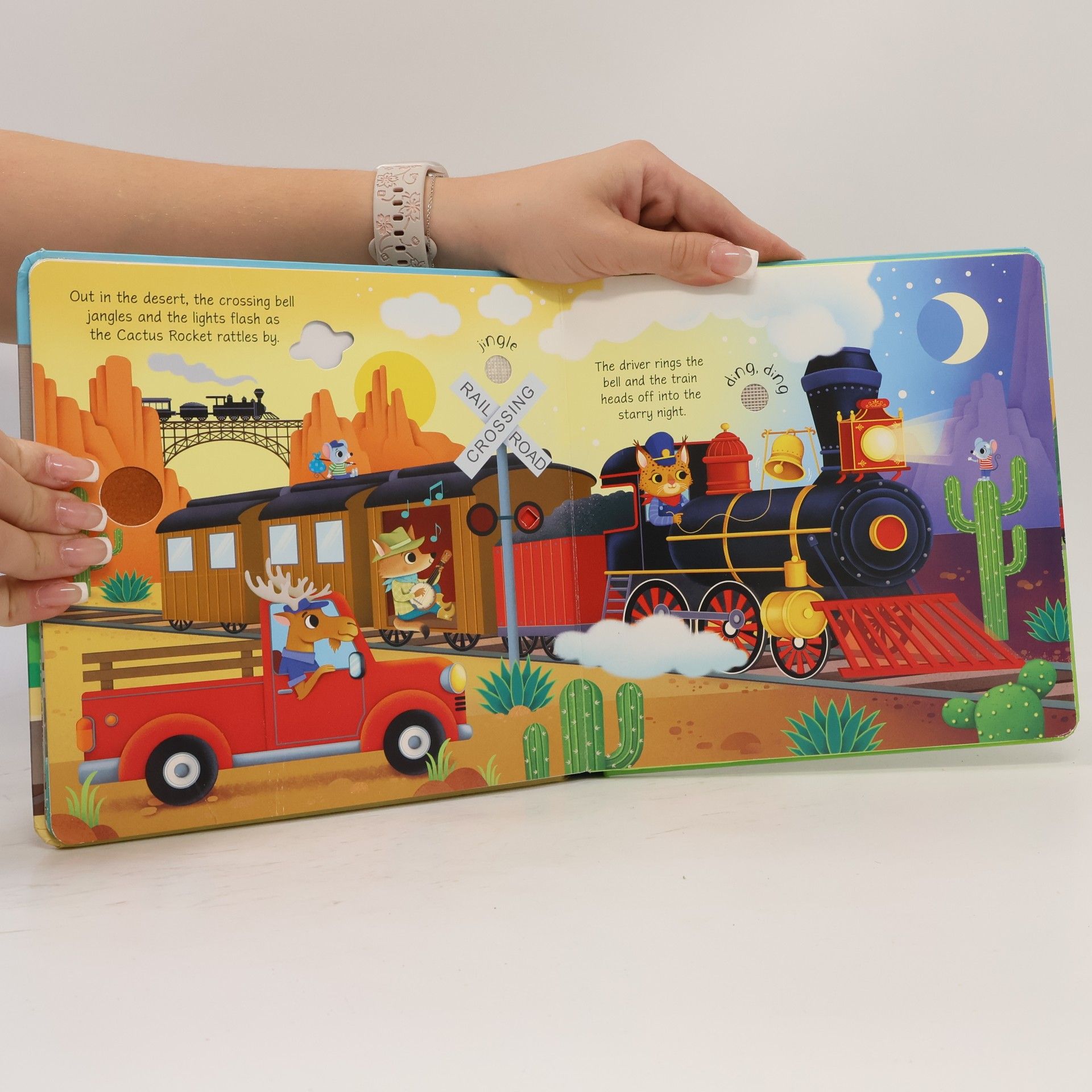 Sam Taplin Trains Sound Book