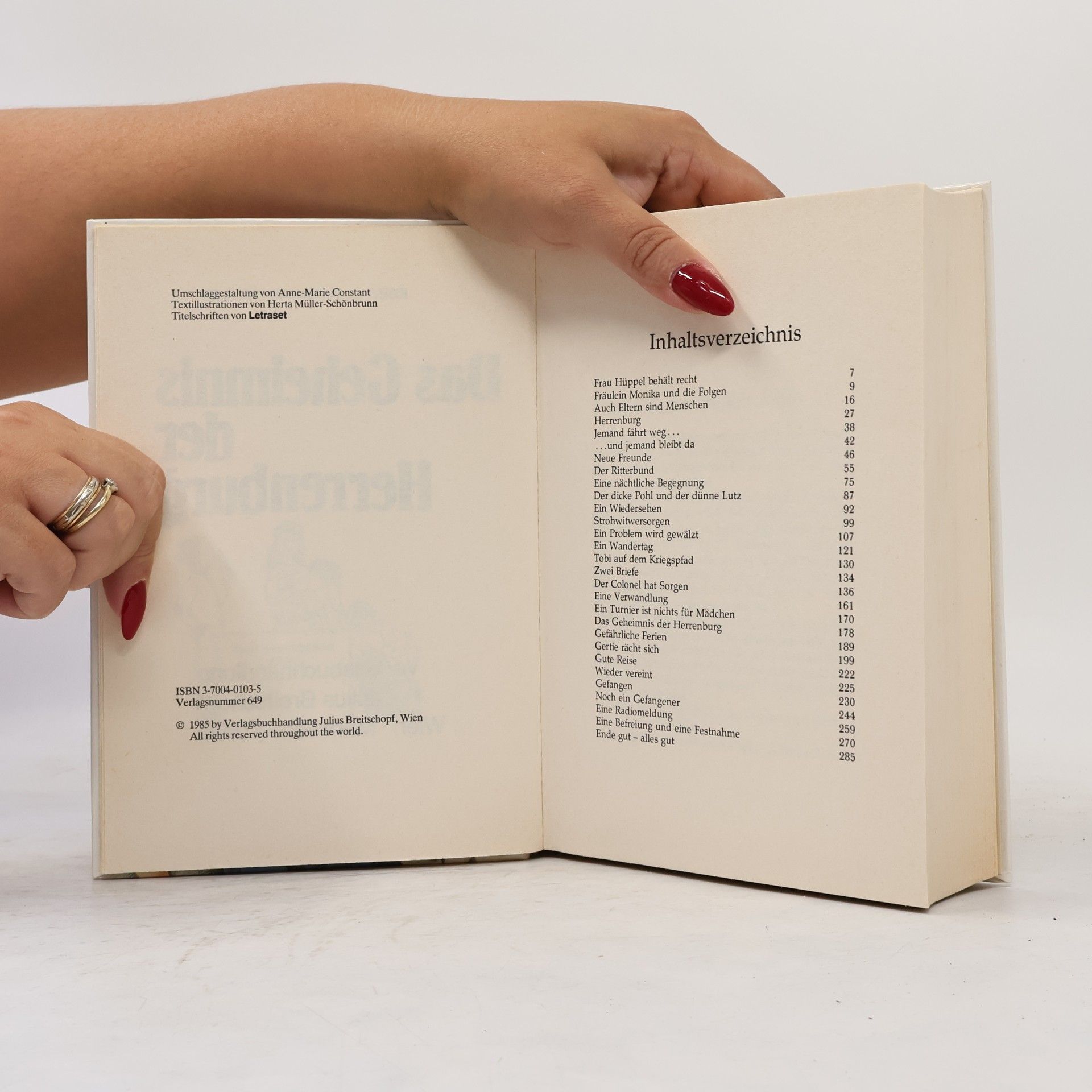 Ebba Schwimann-Pichler Das Geheimnis der Herrenburg
