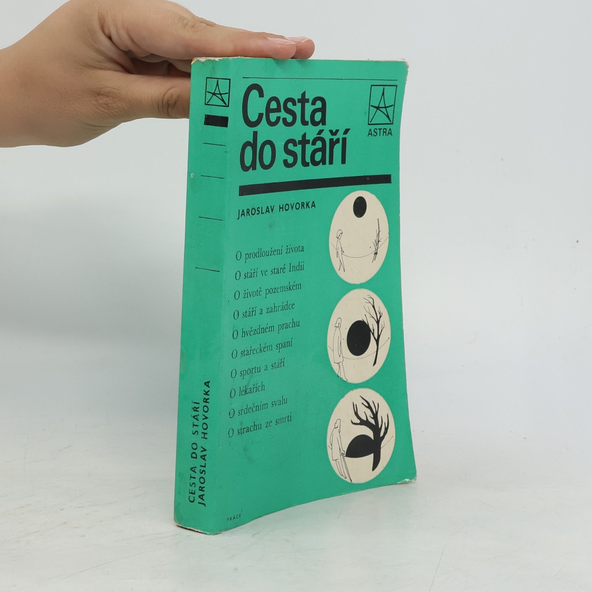 Cesta do stáří