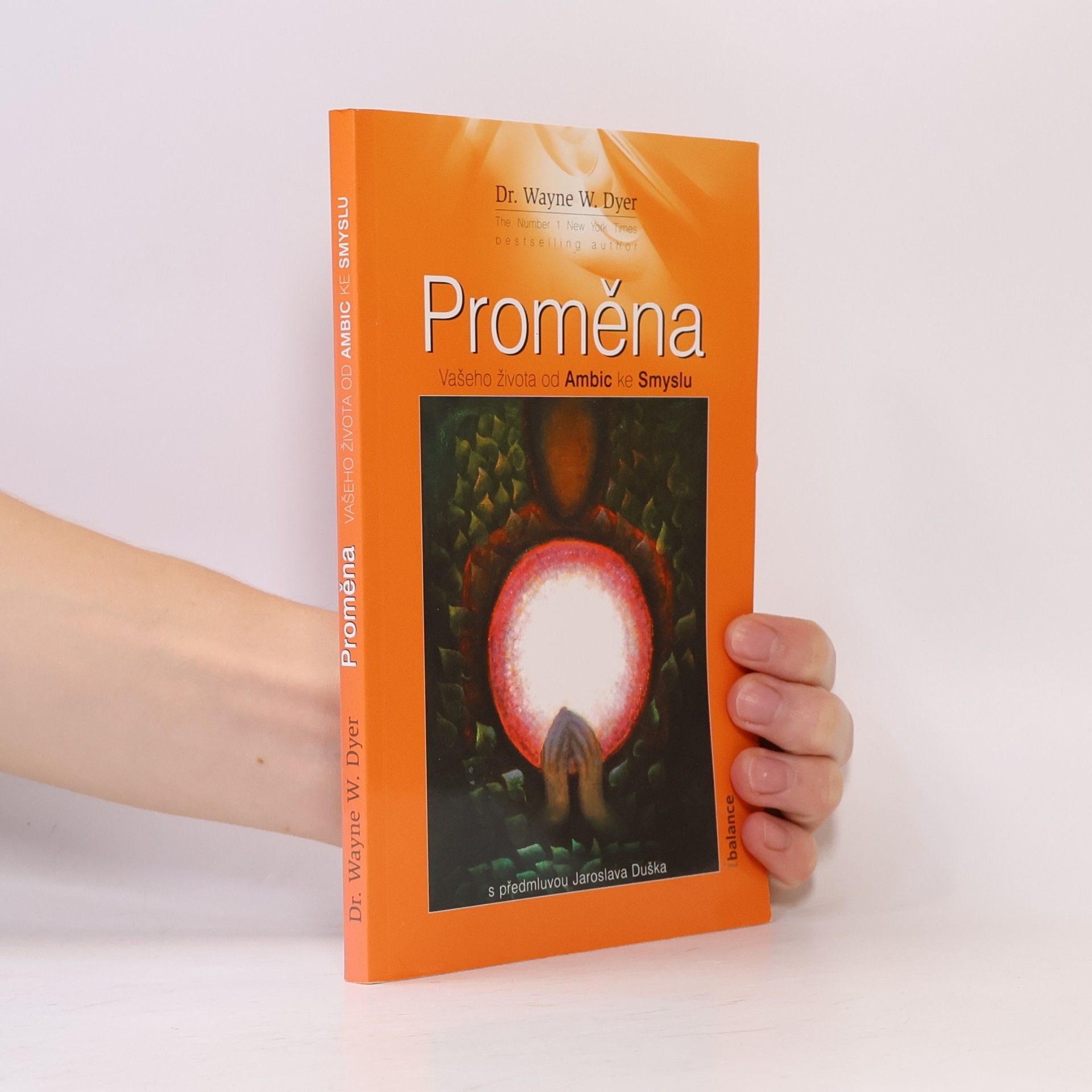 Wayne W. Dyer Proměna vašeho života od ambic ke smyslu
