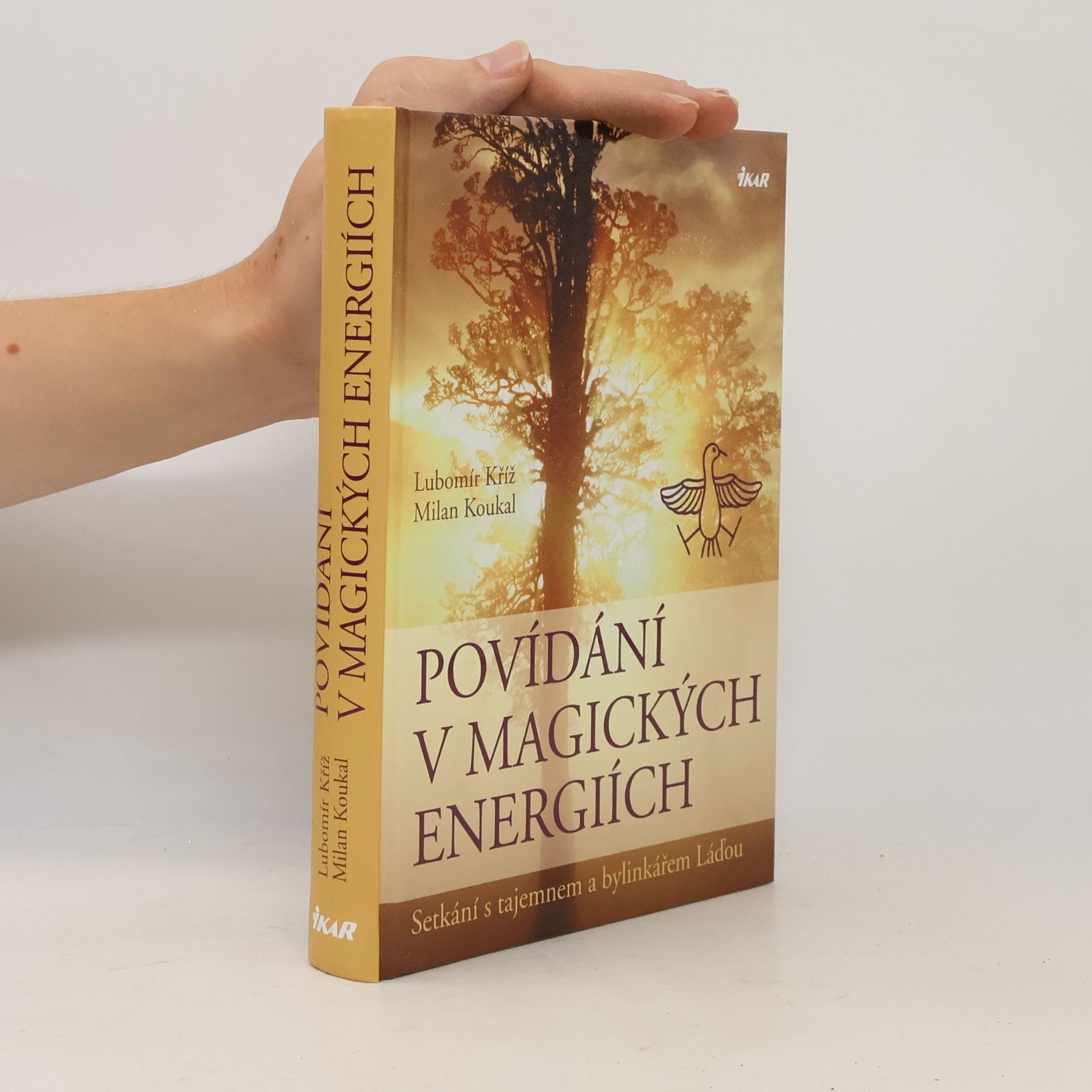 Lubomír Kříž Povídání v magických energiích