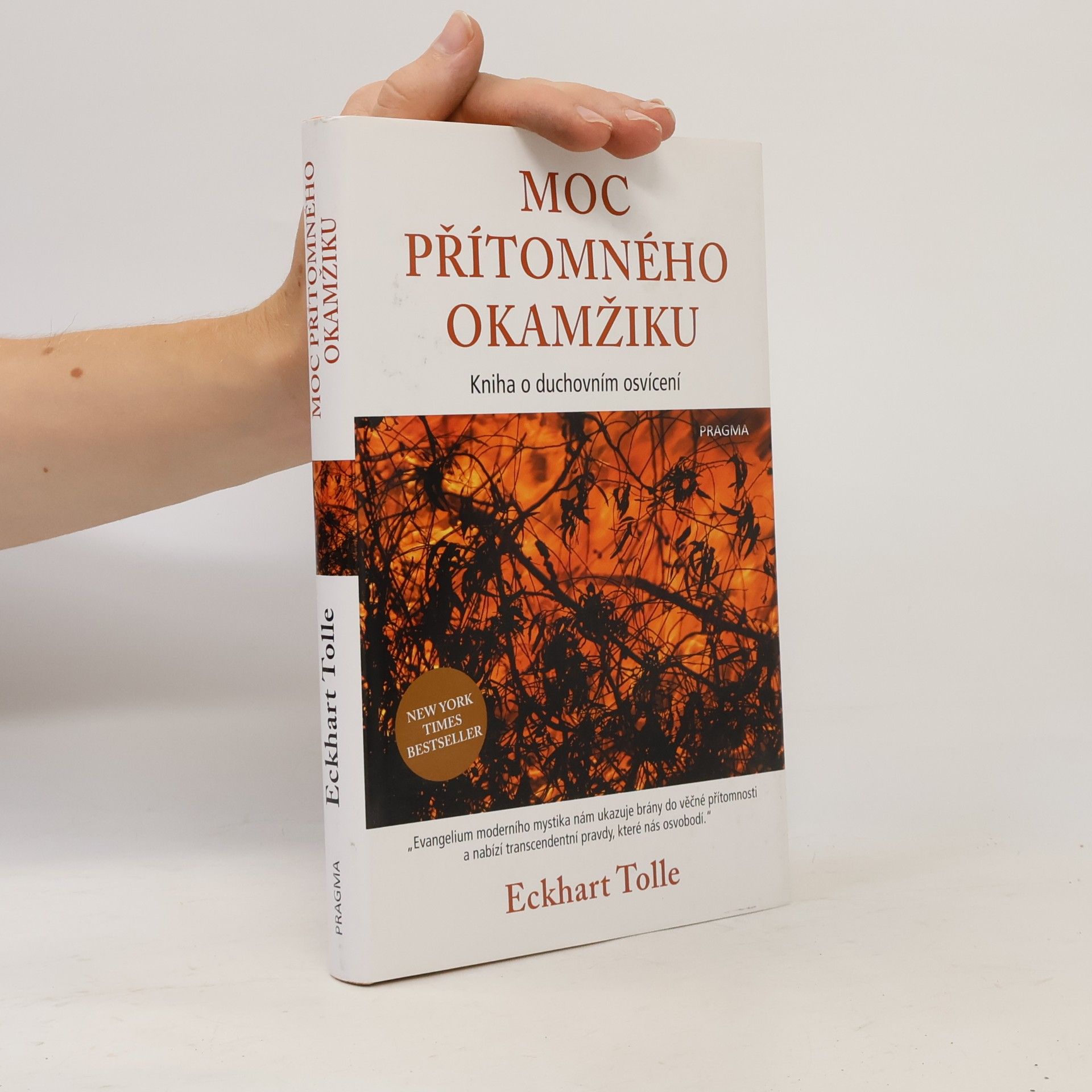 Eckhart Tolle Moc přítomného okamžiku