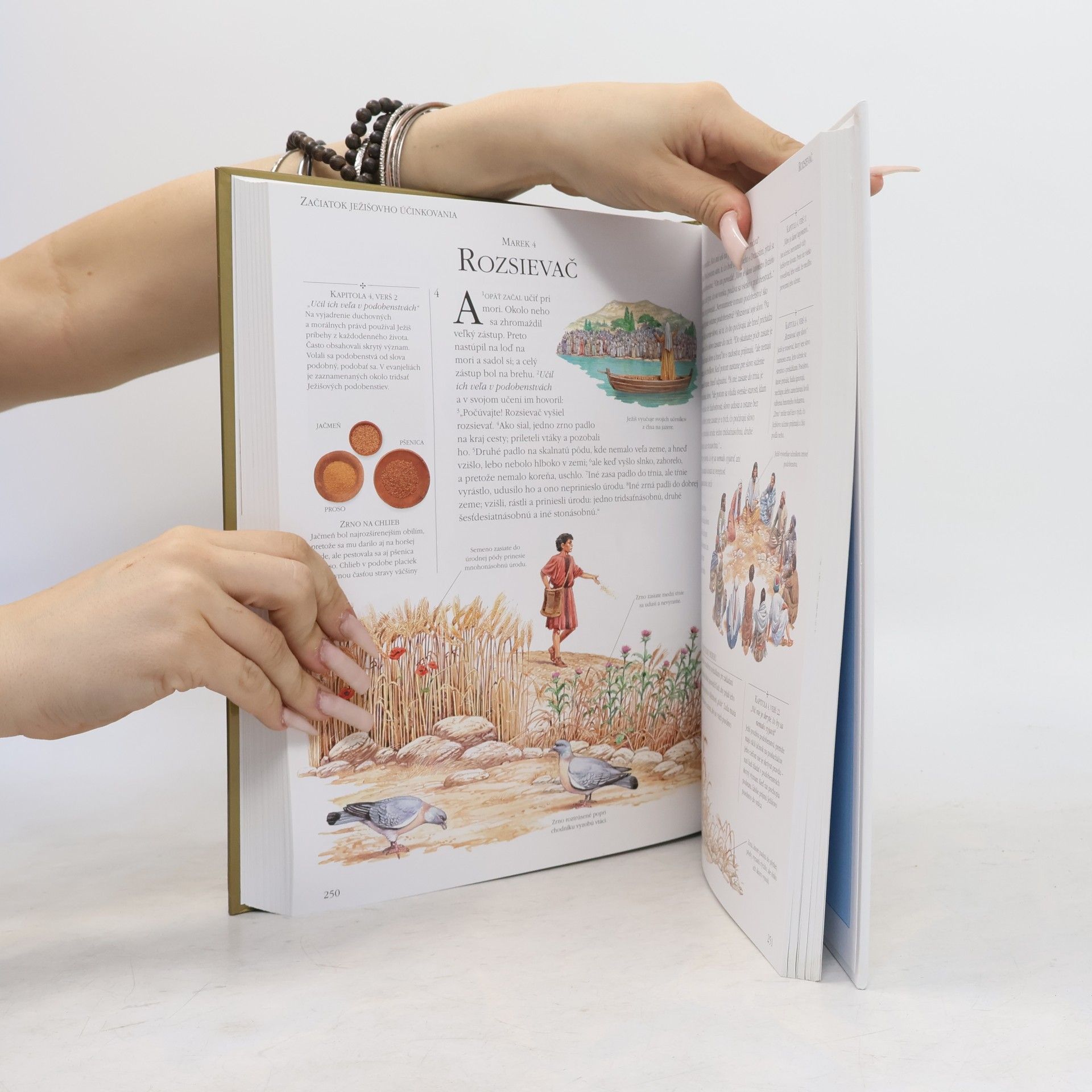 Autores varios Rodinná biblia