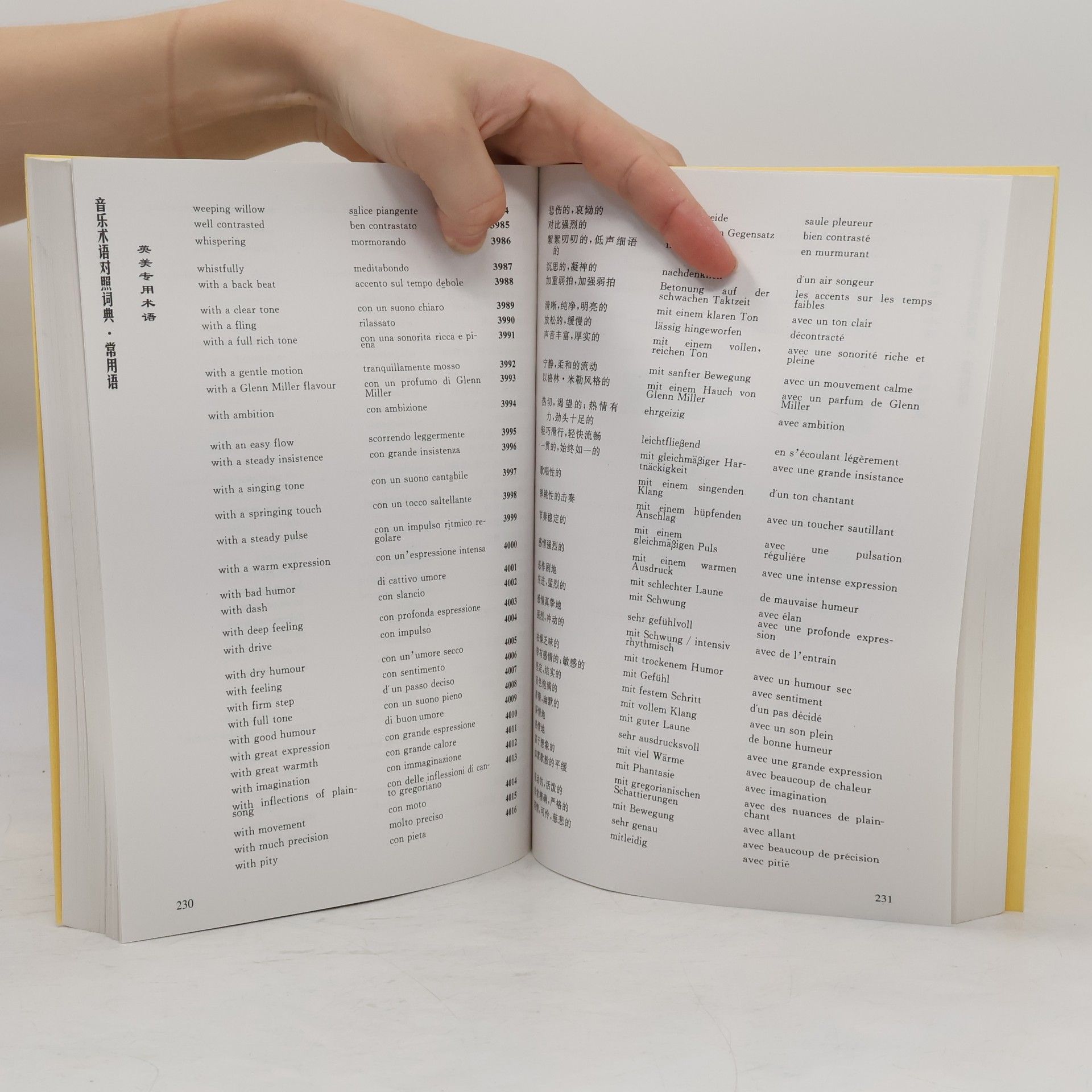 Roberto Braccini 音乐术语 对照词典