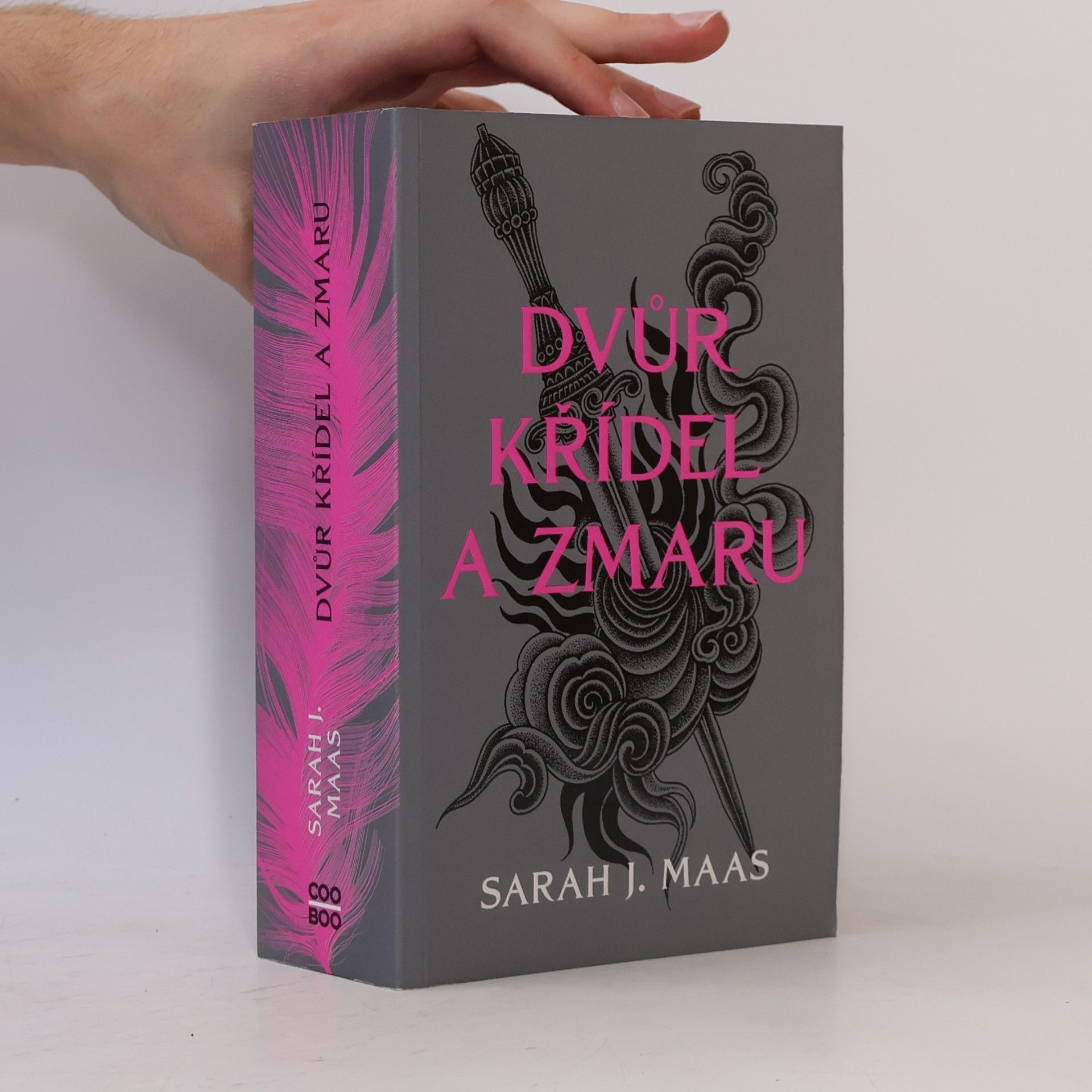 Sarah J. Maas Dvůr křídel a zmaru