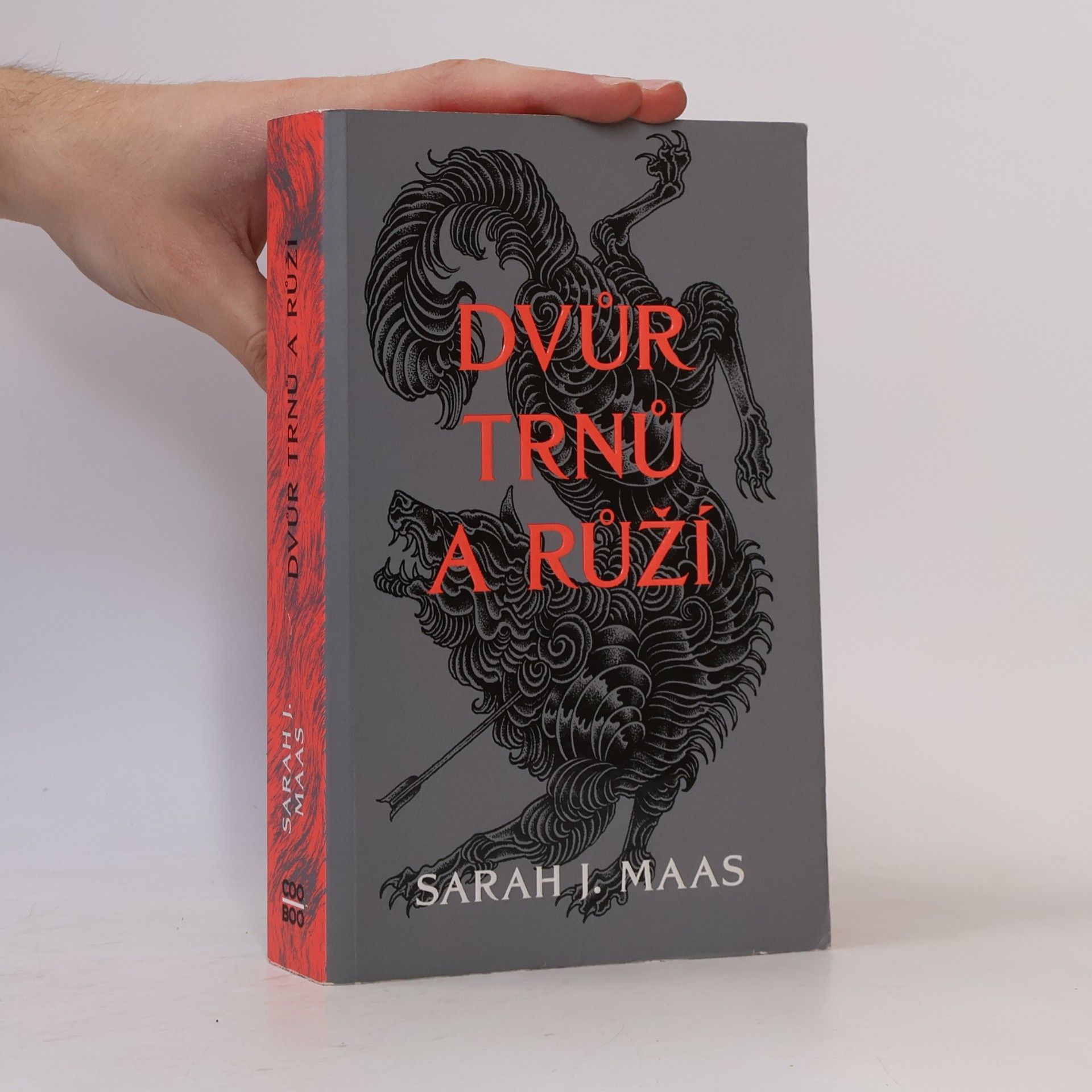 Sarah J. Maas Dvůr trnů a růží