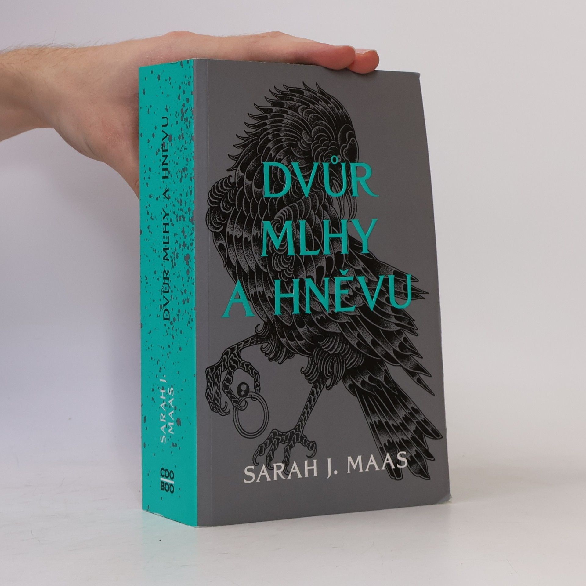 Sarah J. Maas Dvůr mlhy a hněvu