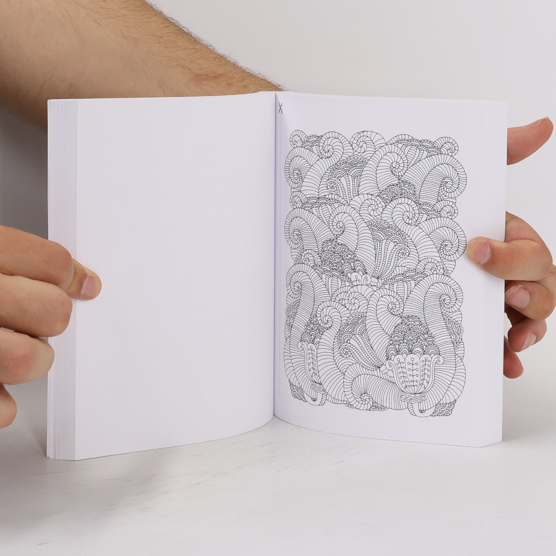 Various authors Zápisník - Omalovánky pro kreativitu