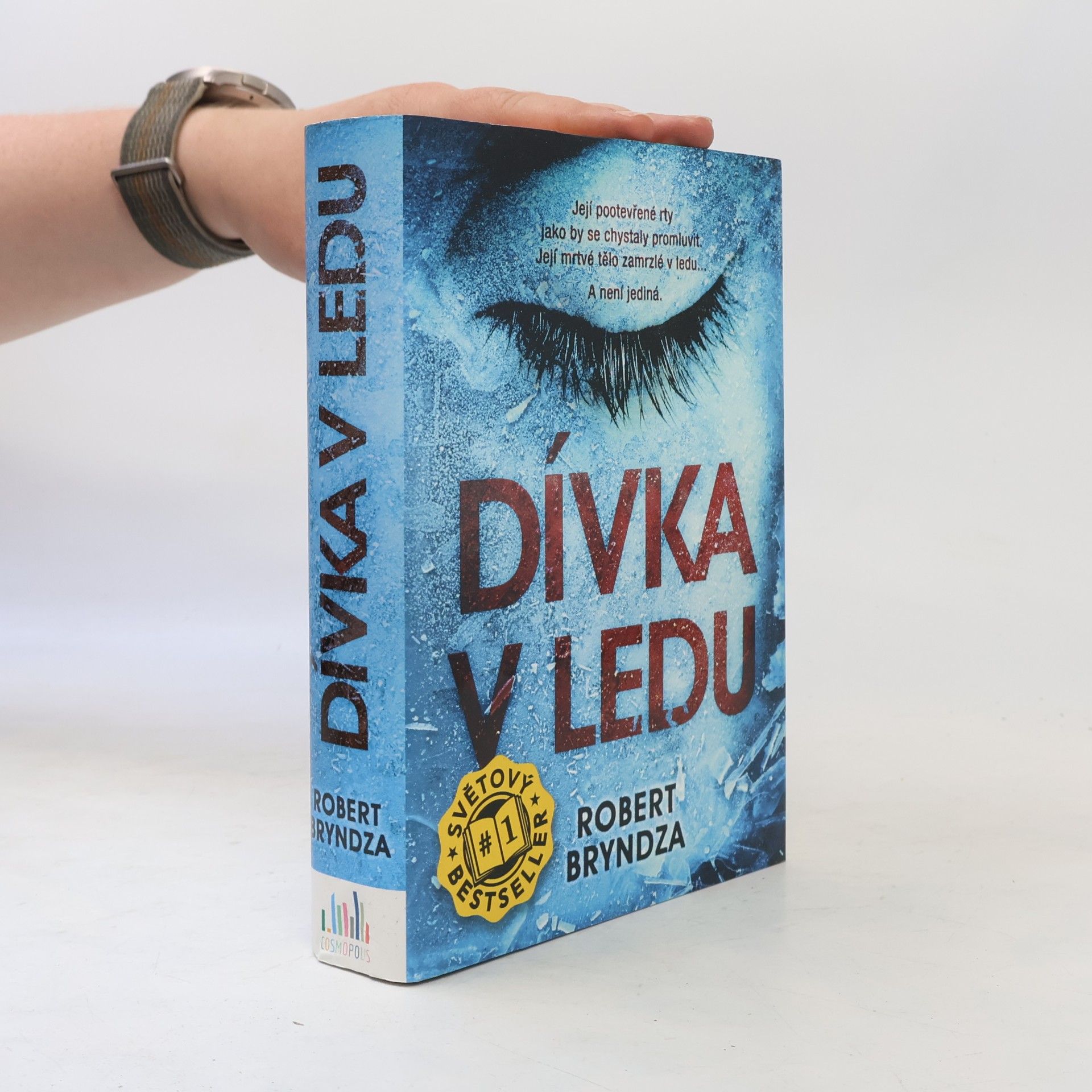 Robert Bryndza Dívka v ledu