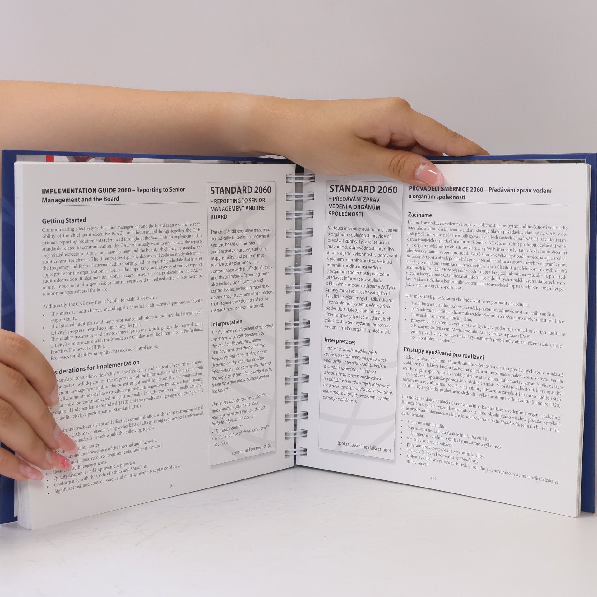 Autorenkollektiv Mezinárodní rámec profesní praxe interního auditu