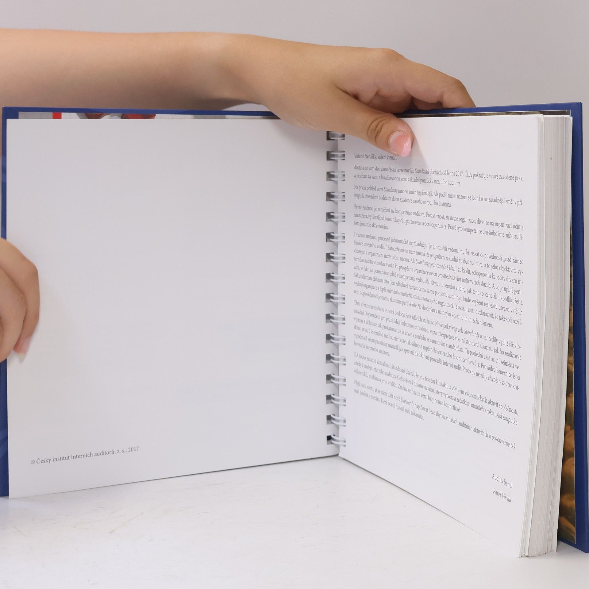 Autorenkollektiv Mezinárodní rámec profesní praxe interního auditu