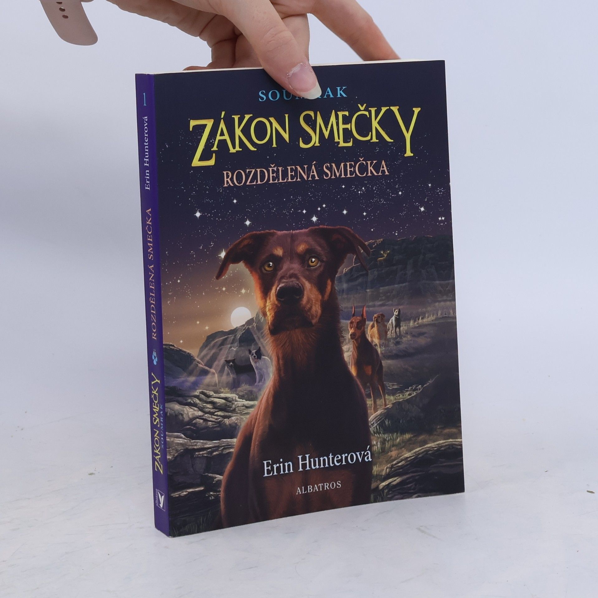 Erin Hunter Rozdělená smečka