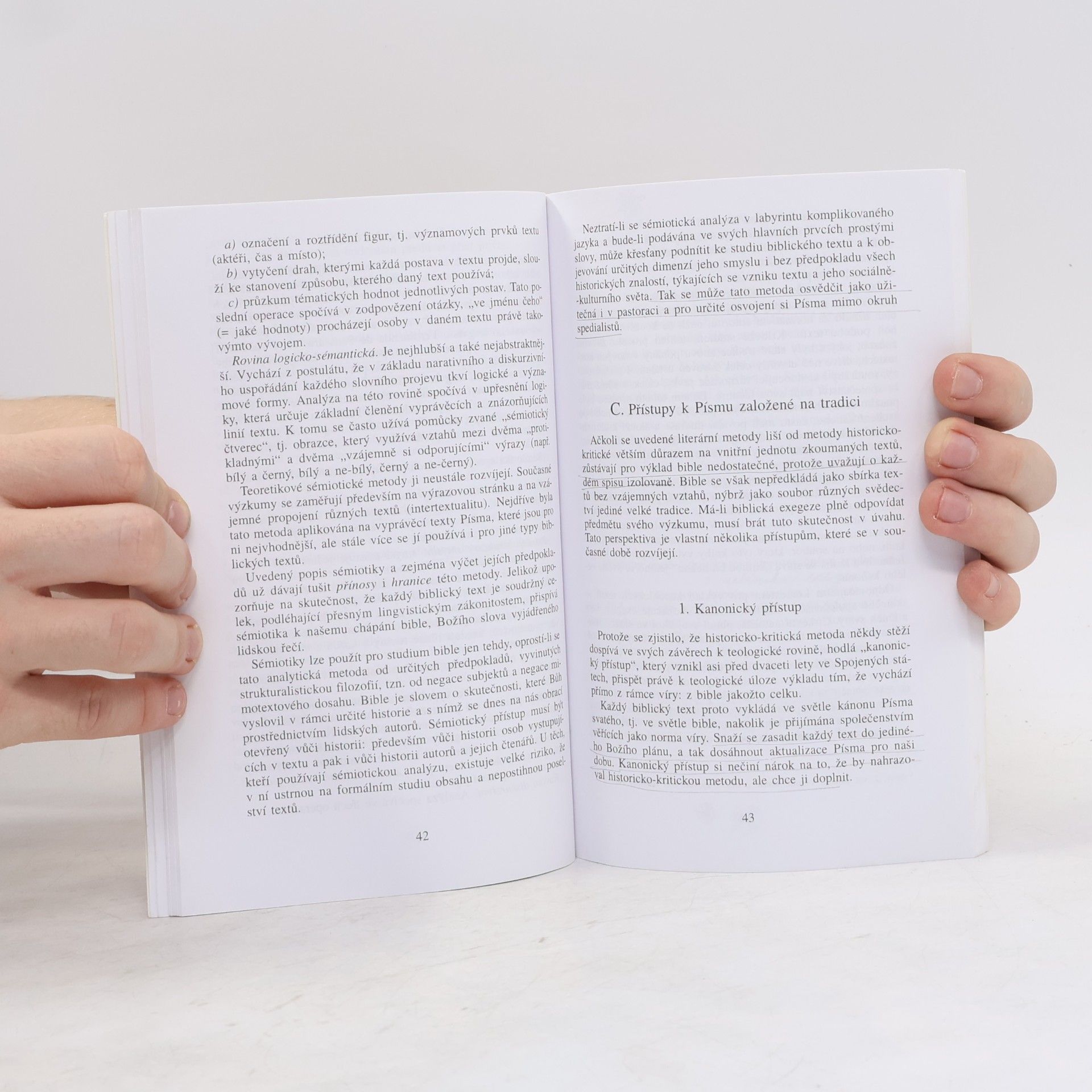 Autorenkollektiv Výklad Bible v církvi. Dokument Papežské biblické komise z 15. dubna 1993