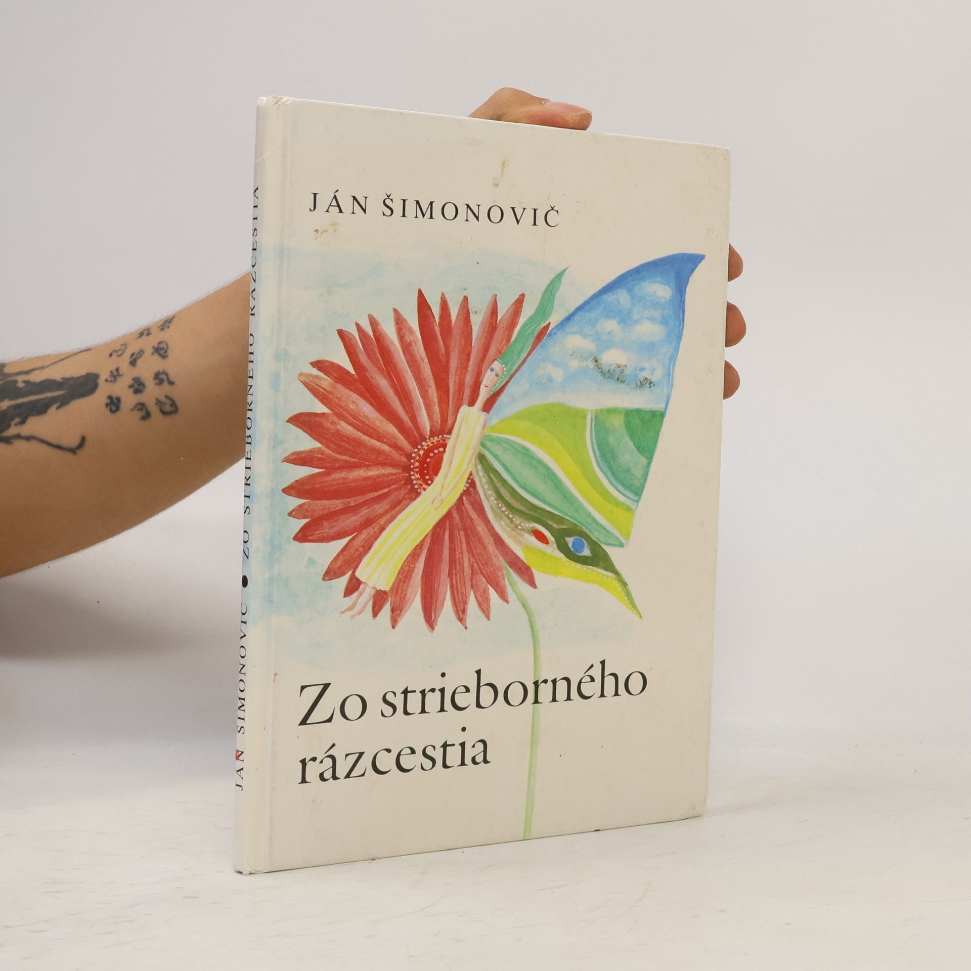 Zo strieborného rázcestia