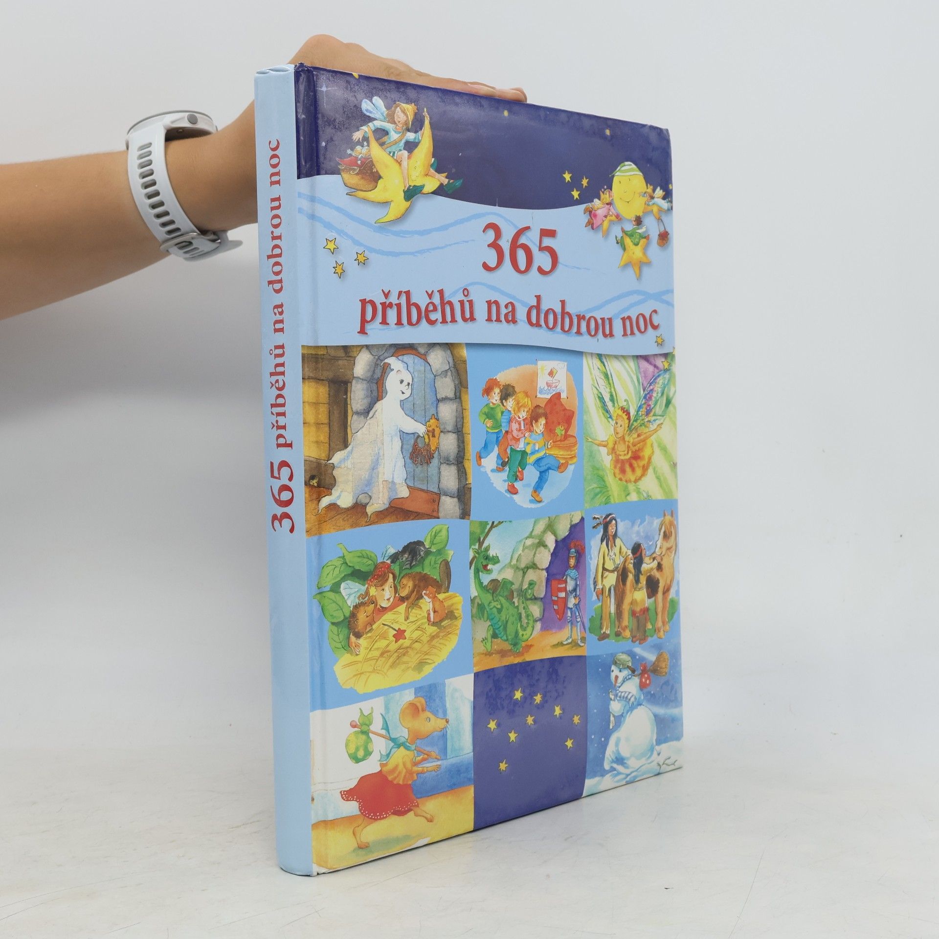 Autorenkollektiv 365 příběhů na dobrou noc