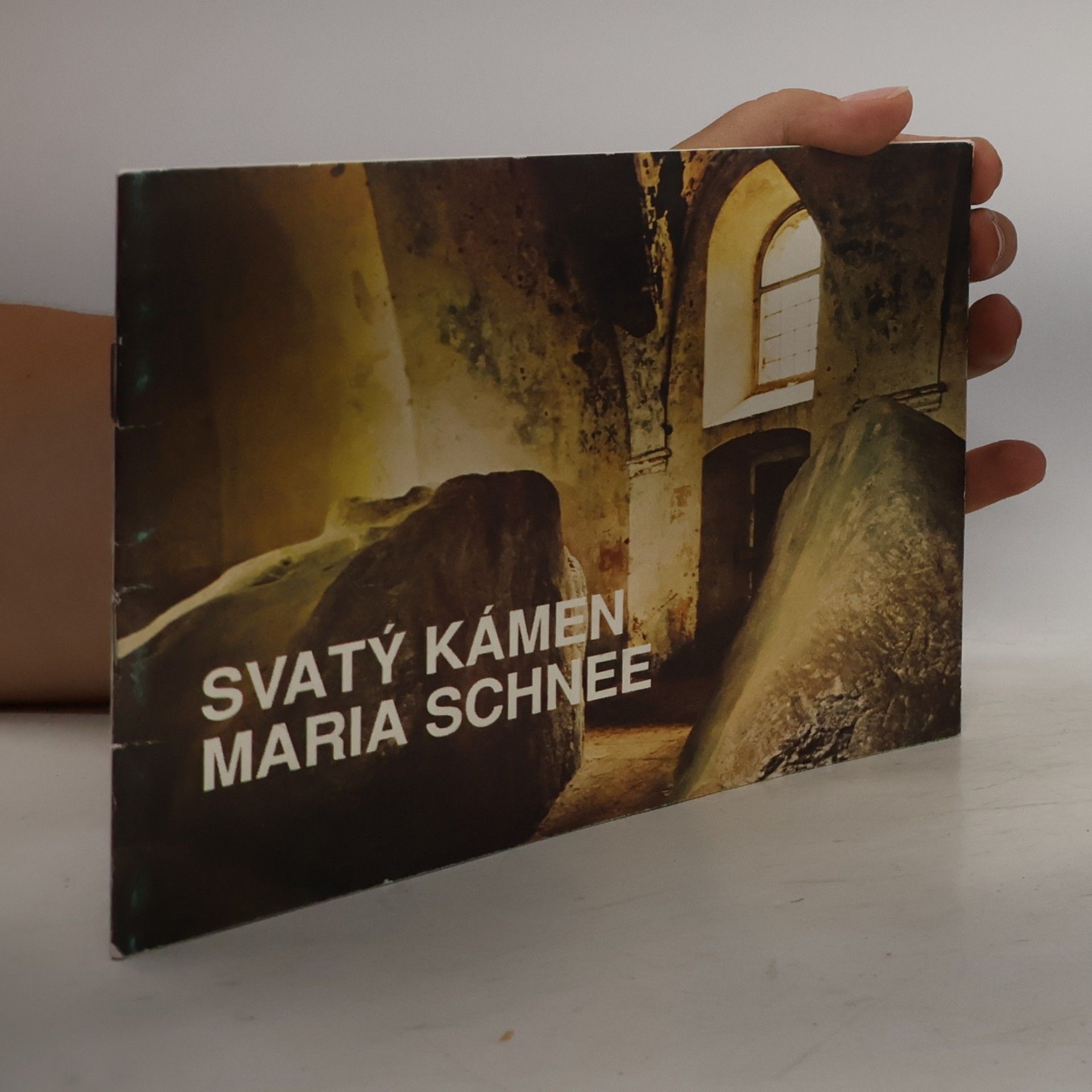 Kolektiv autorů Svatý kámen Maria Schnee