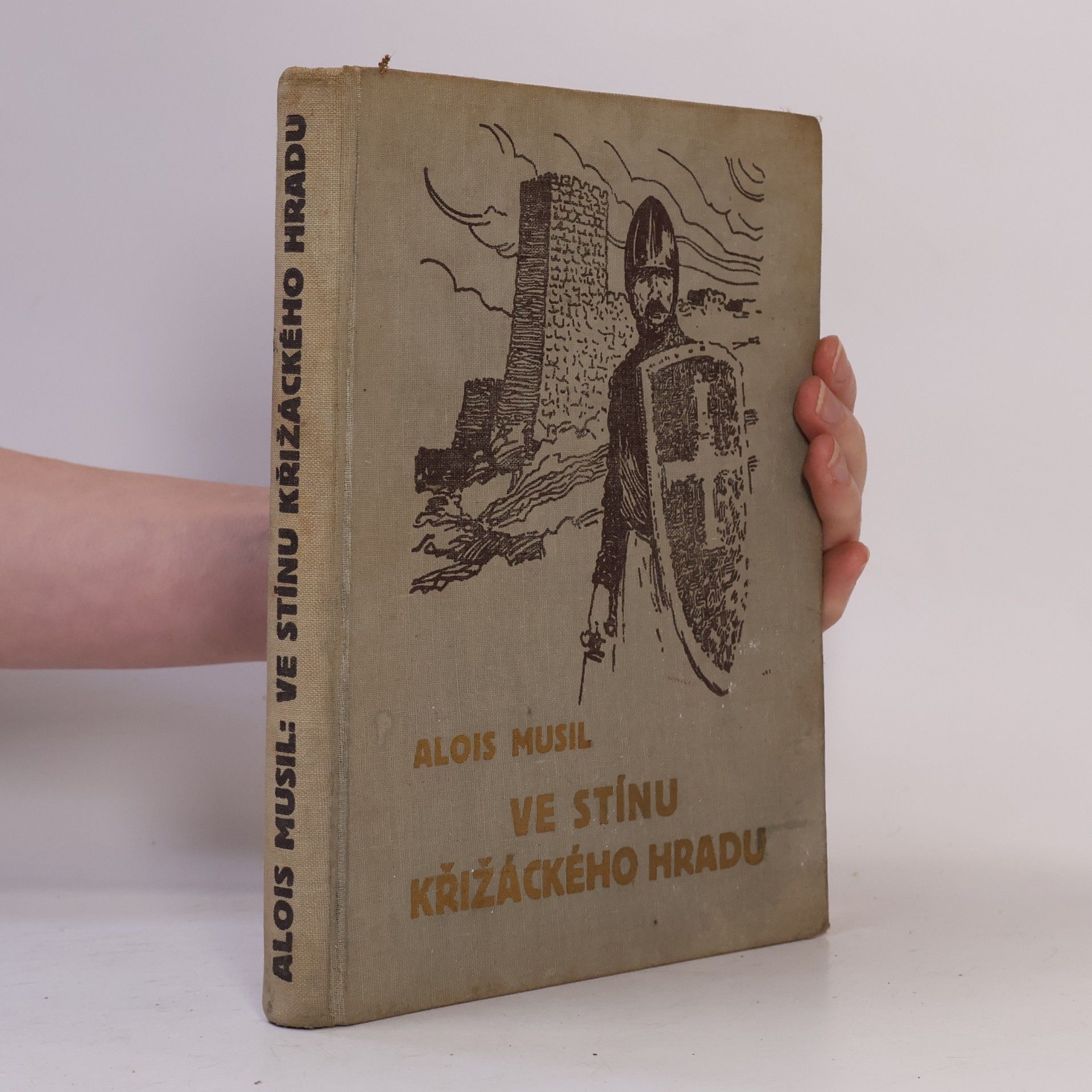 Alois Musil Ve stínu křižáckého hradu