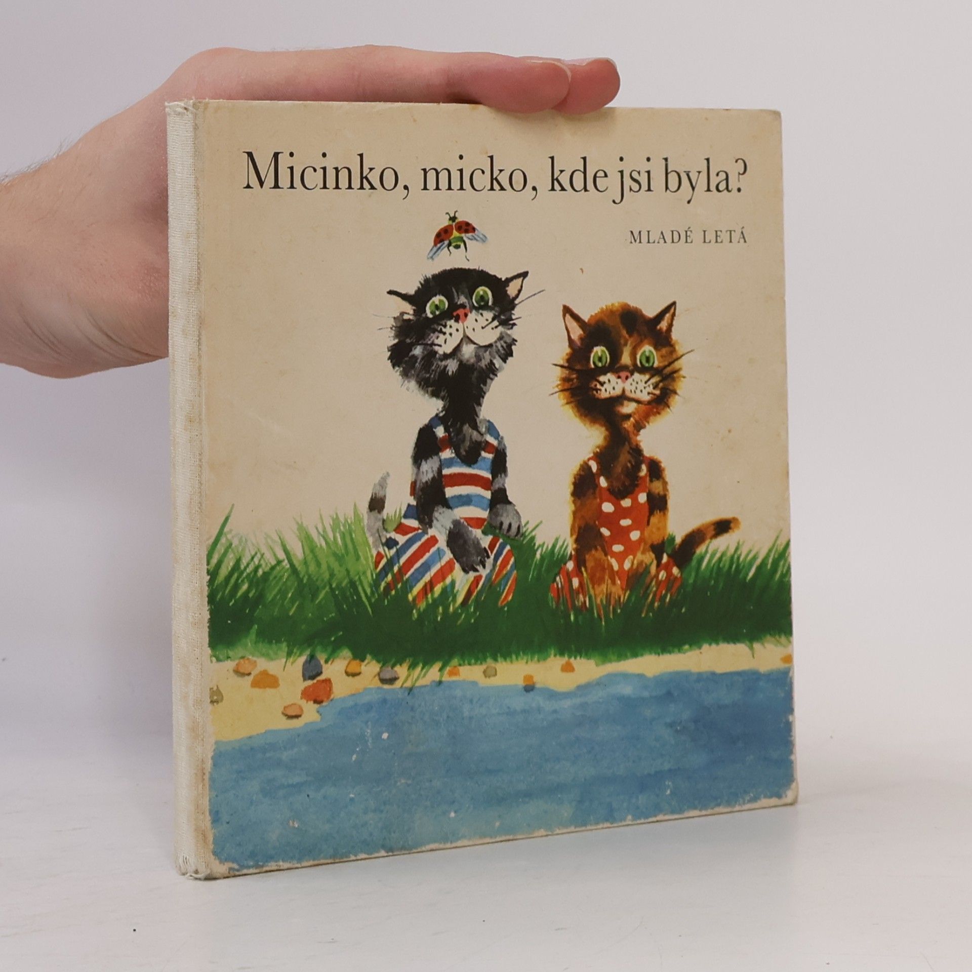 Kolektiv autorů Micinko, micko, kde jsi byla?