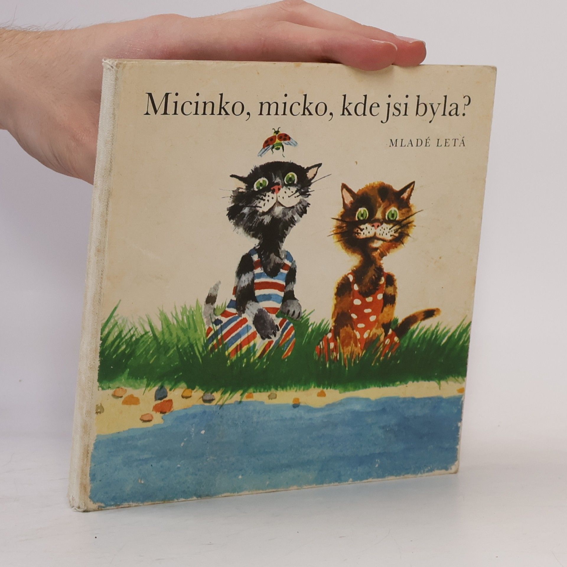 Kolektiv autorů Micinko, micko, kde jsi byla?