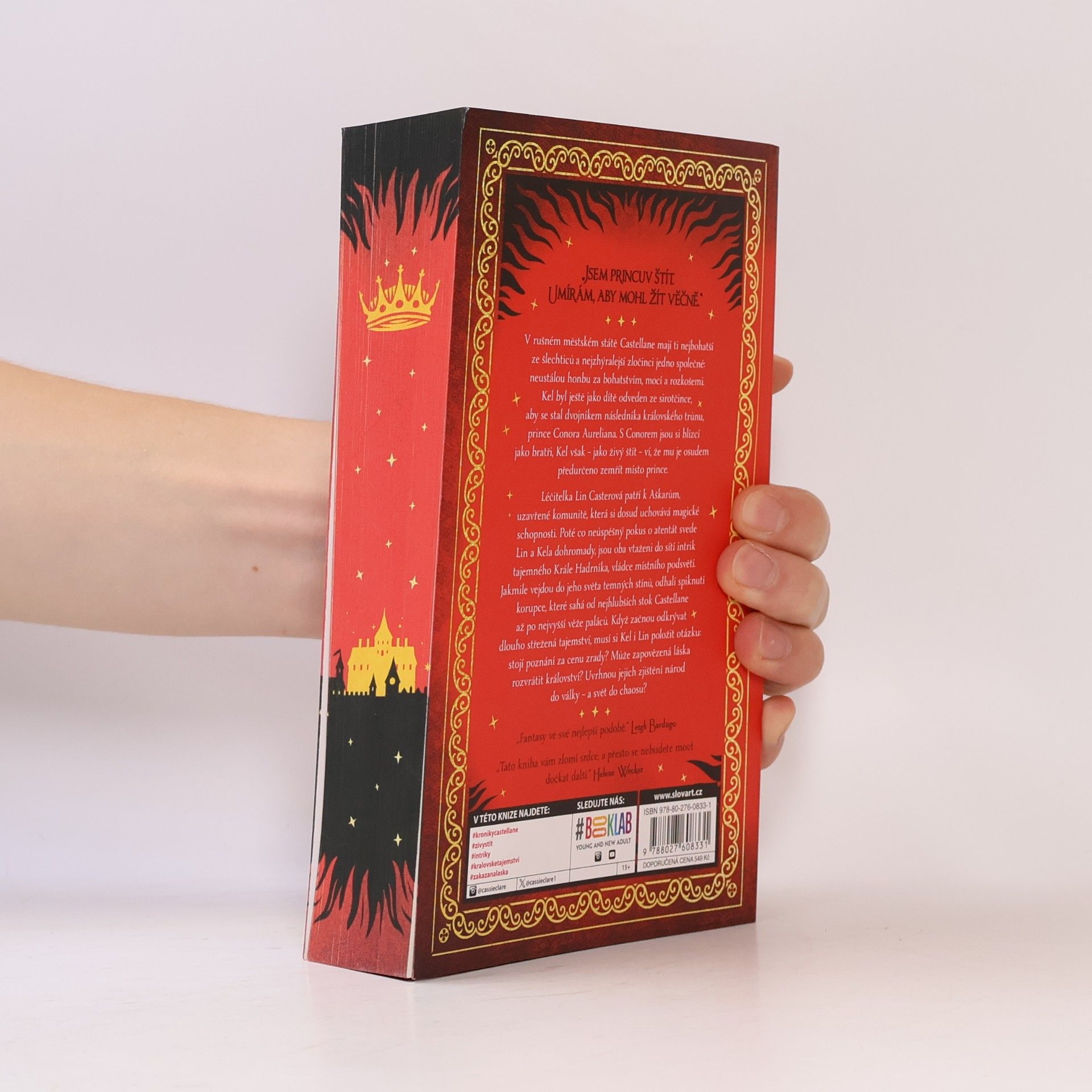 Cassandra Clare Princův štít