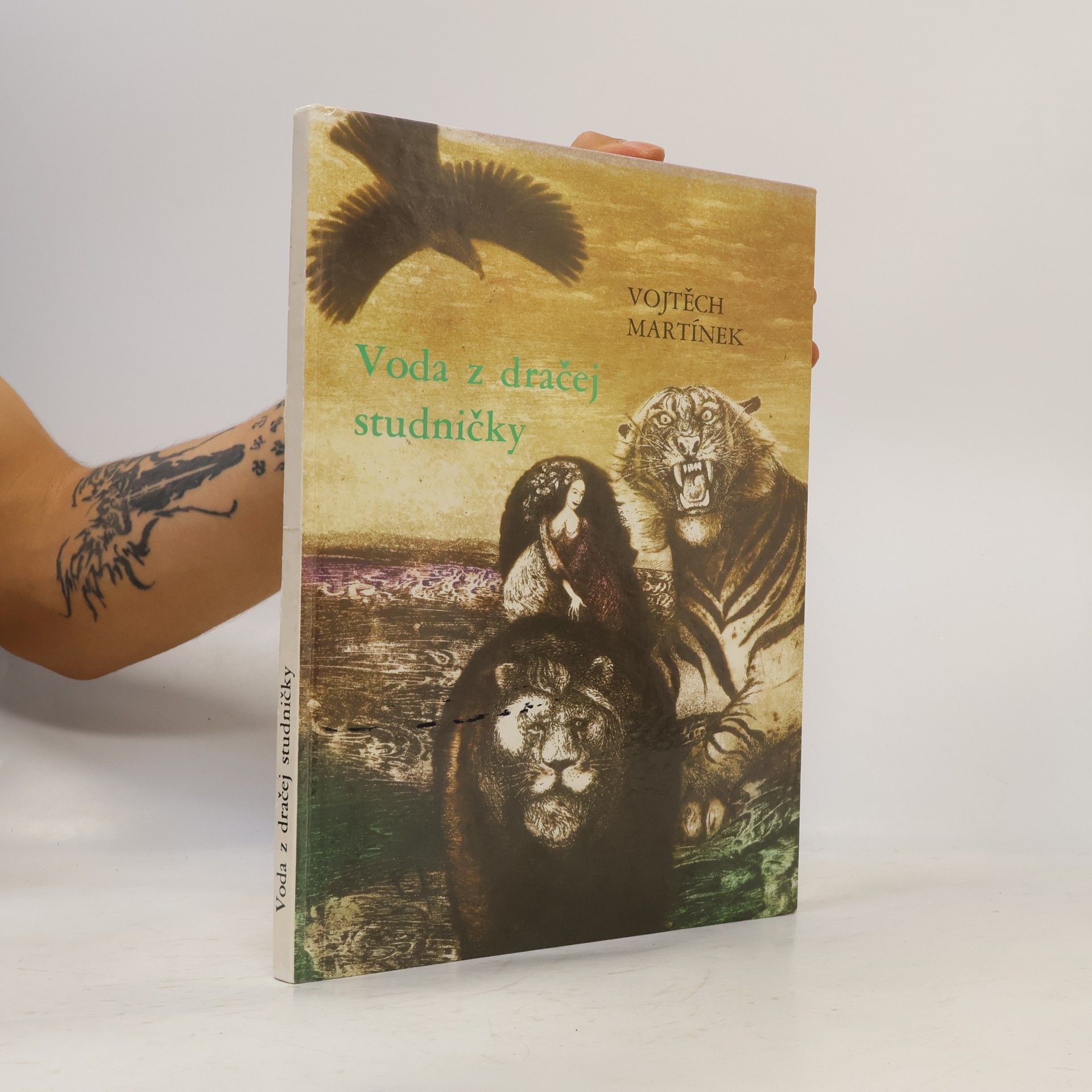 Vojtěch Martínek Voda z dračej studničky