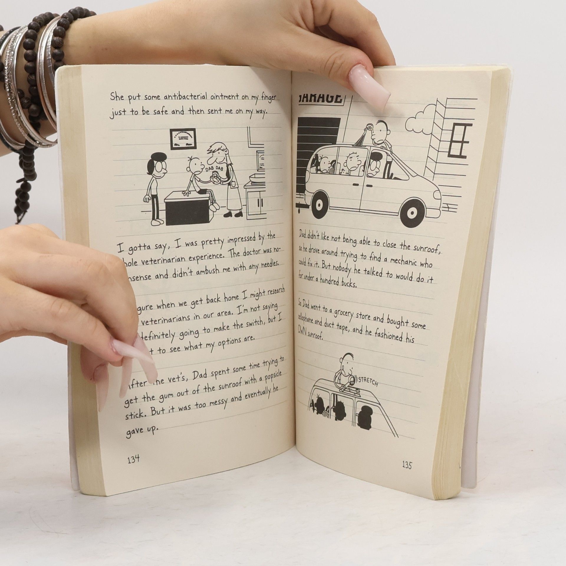 Jeff Kinney Diary of a Wimpy Kid. The Long Haul