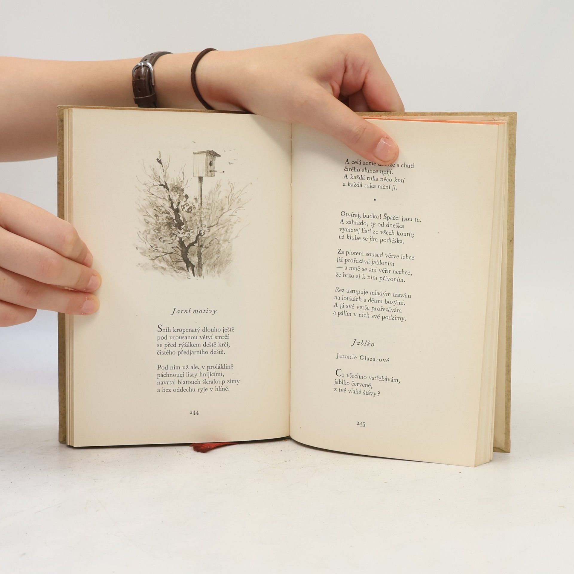Autorenkollektiv Básnický almanach 1956