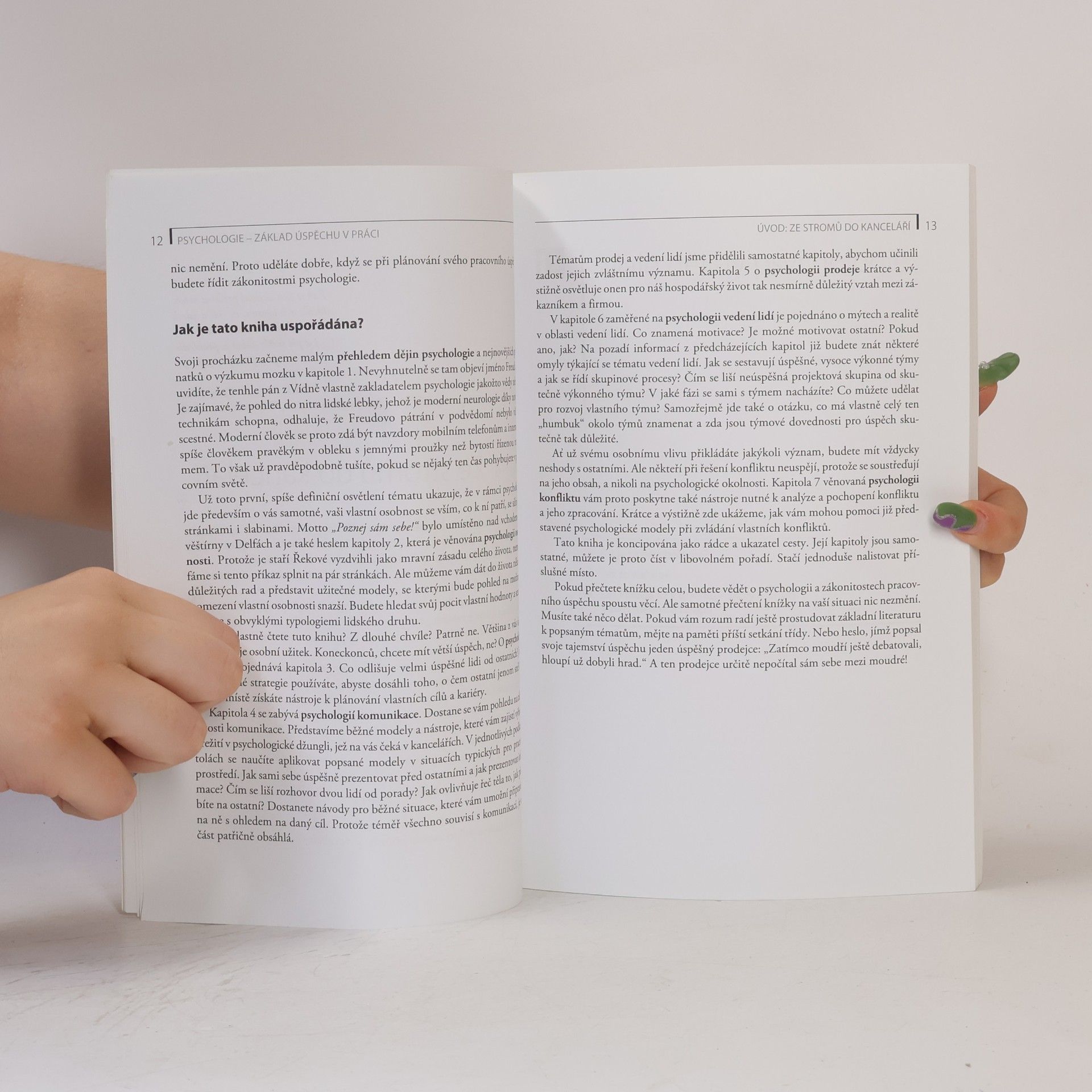 Hans-Michael Klein Psychologie - základ úspěchu v práci