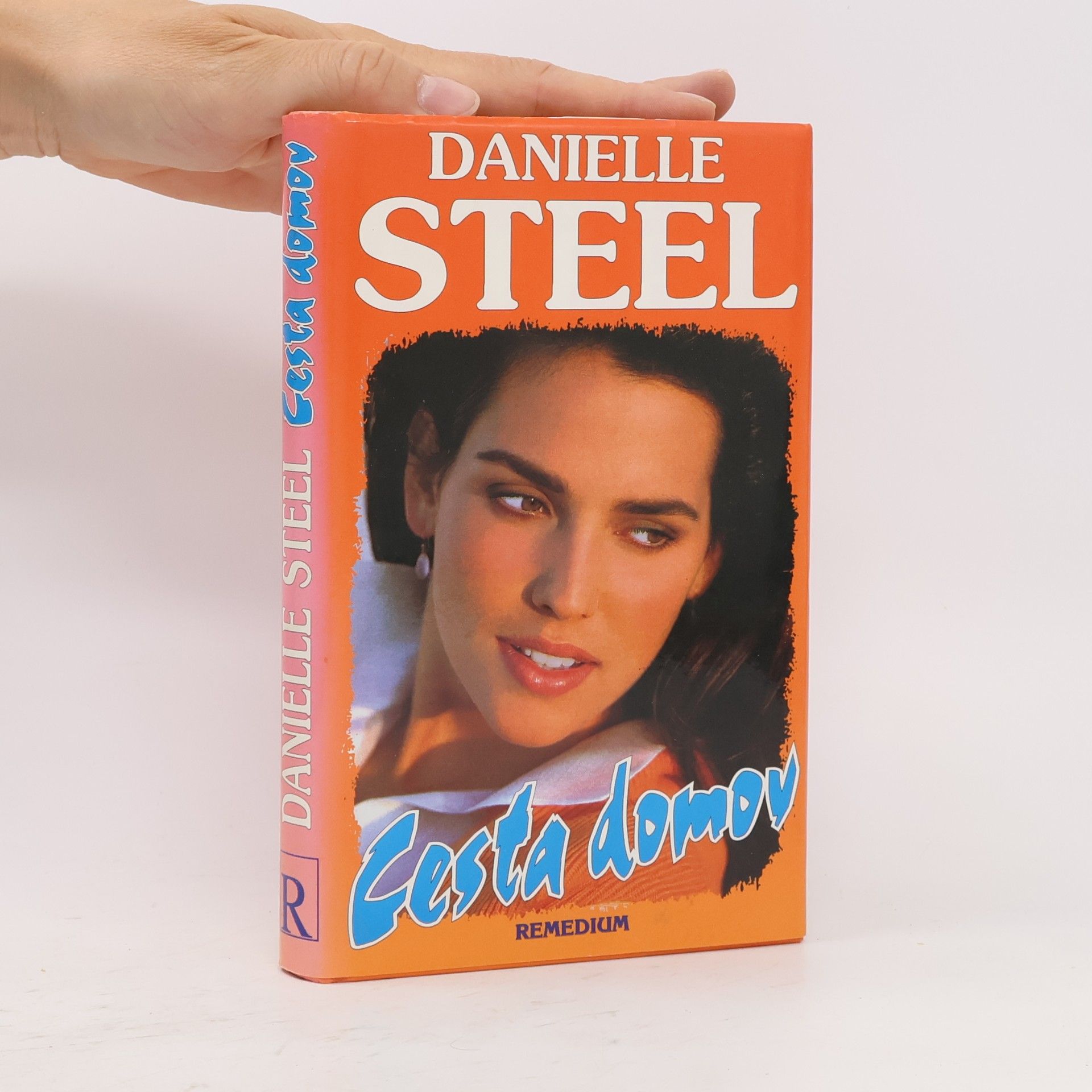 Danielle Steel Cesta domov
