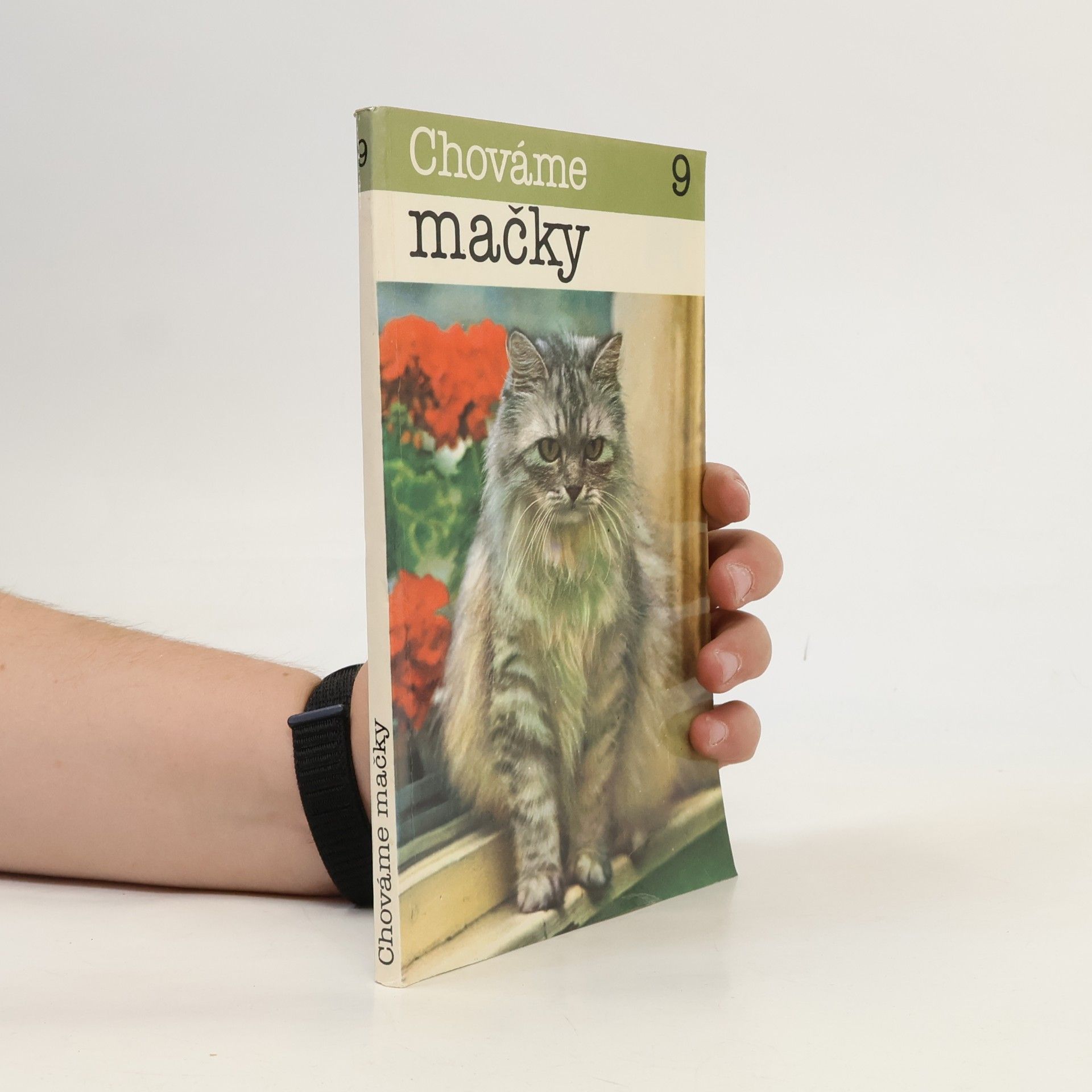 M. Pálková Chováme mačky