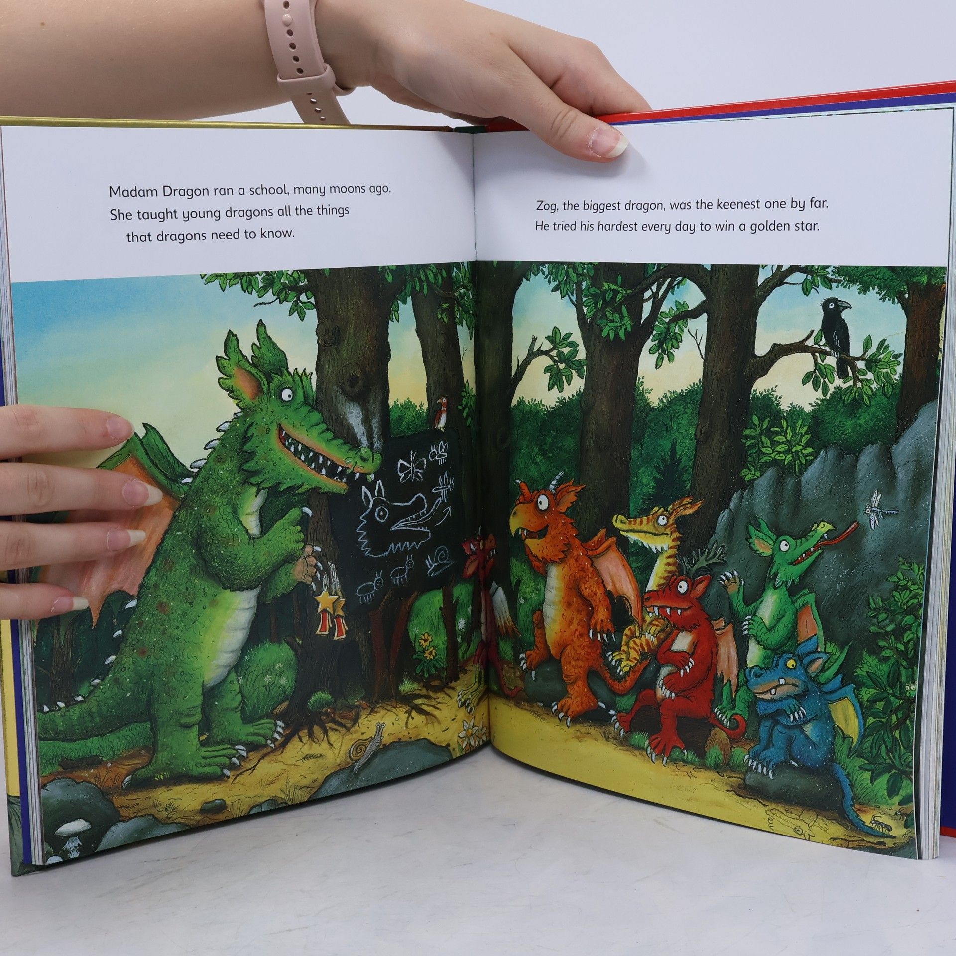 Julia Donaldson A Treasury of Creatures