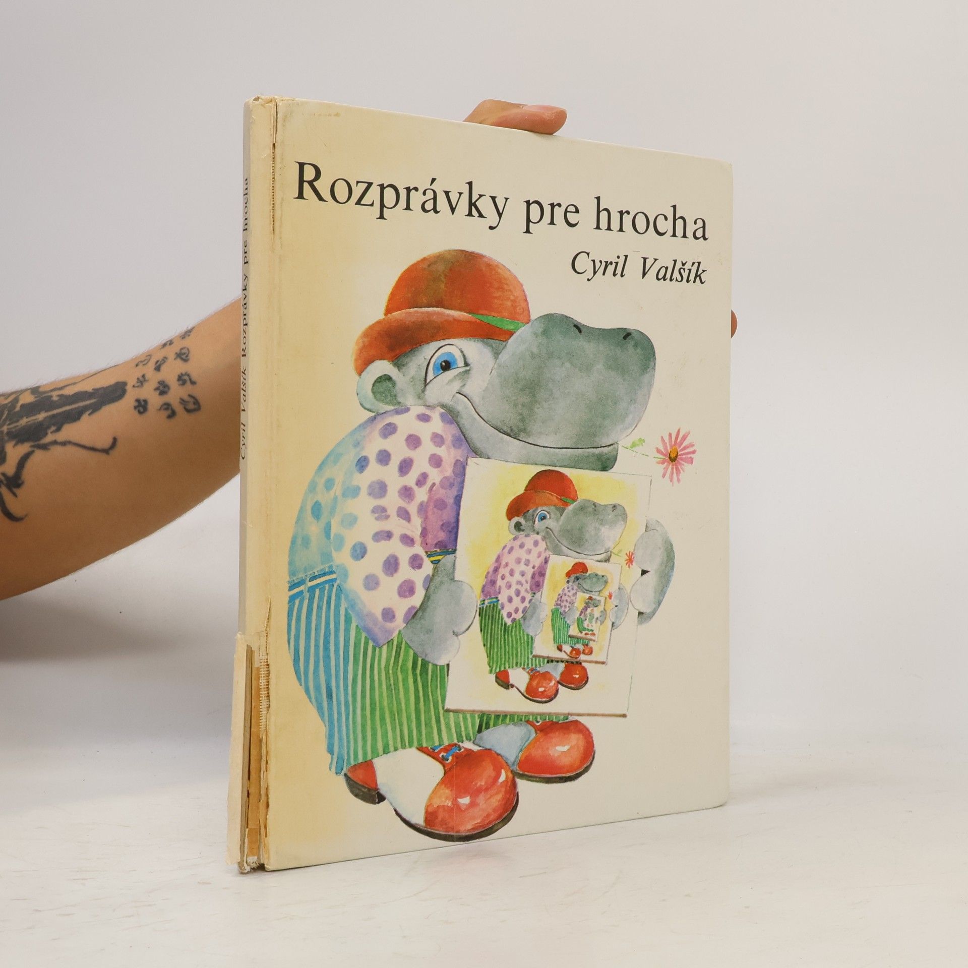 Cyril Valšík Rozprávky pre hrocha