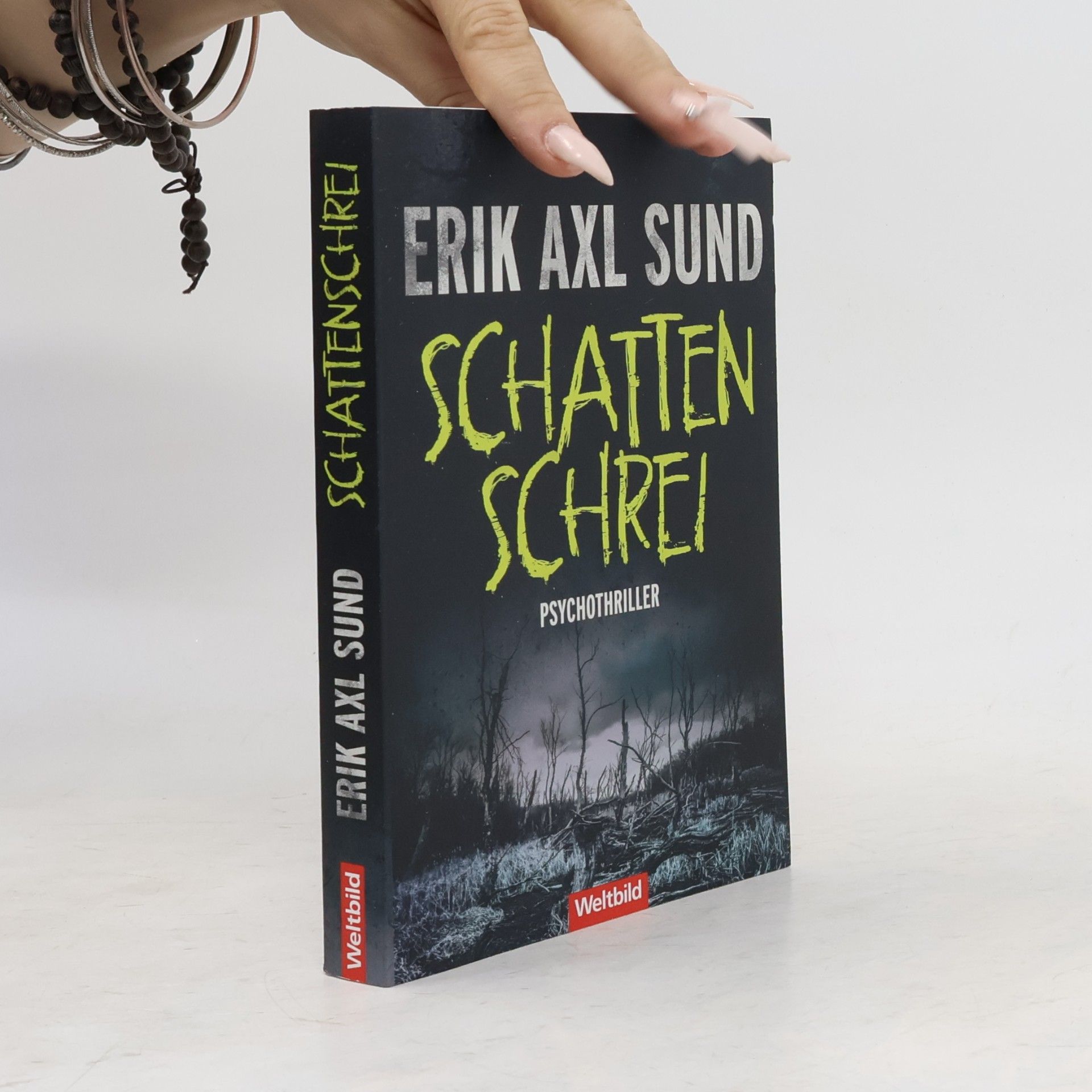 Erik Axl Sund Schattenschrei