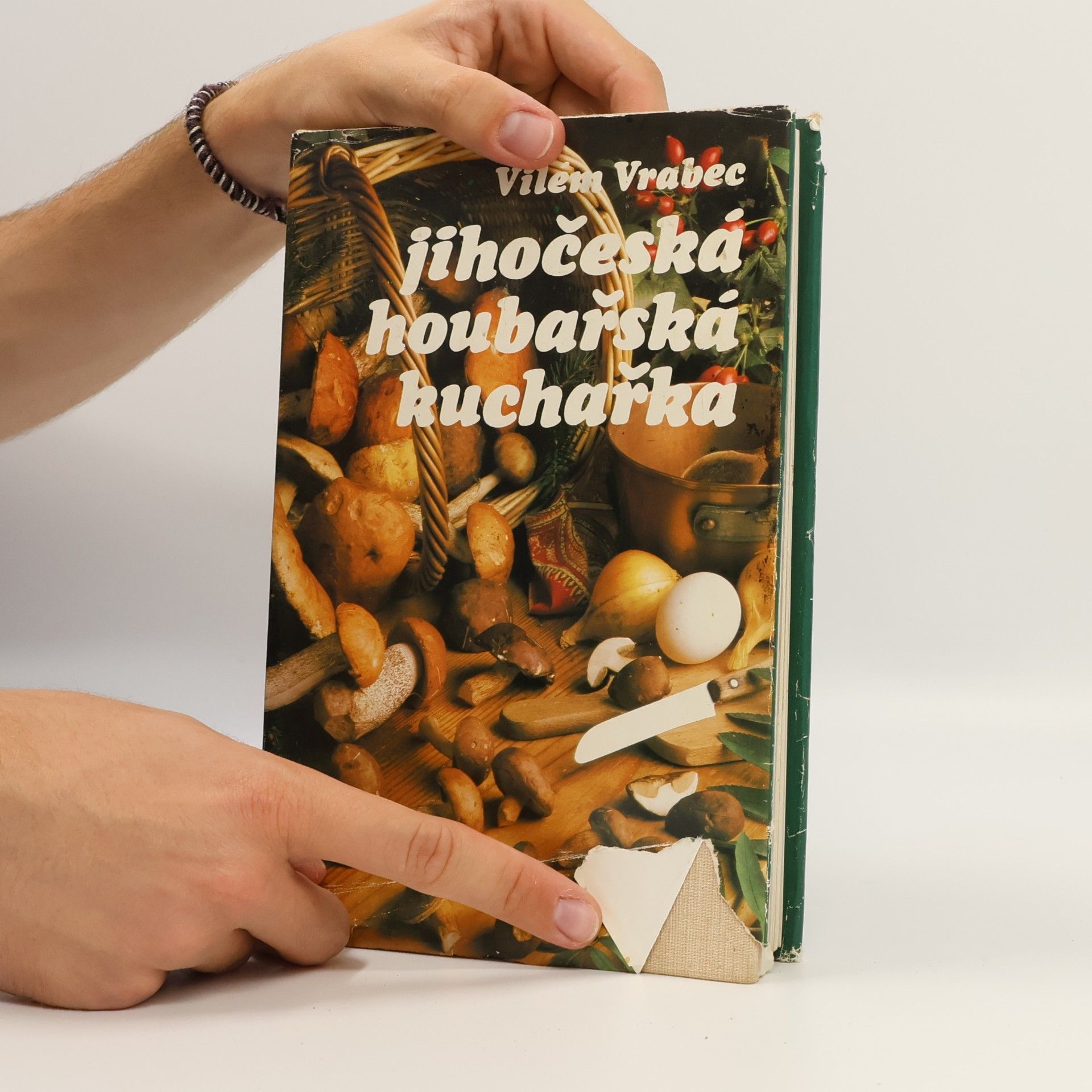 Vilém Vrabec Jihočeská houbařská kuchařka