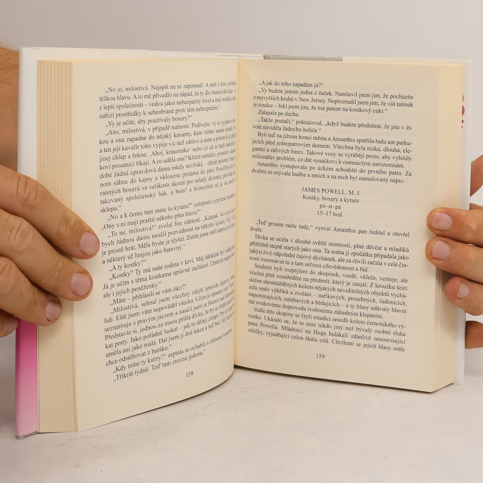 F. Scott Fitzgerald Bláznivá neděle a jiné povídky