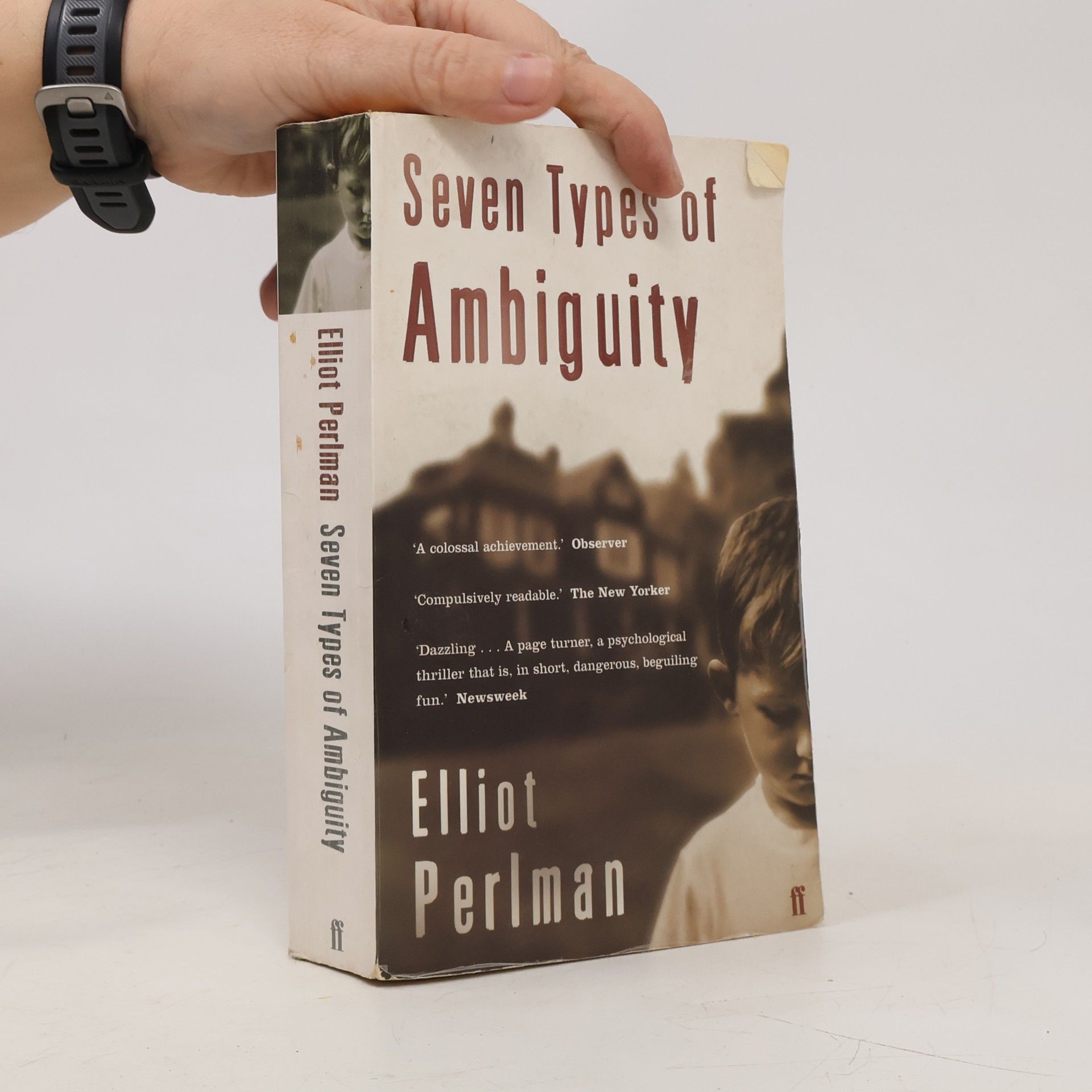 Elliot Perlman Seven Types of Ambiguity