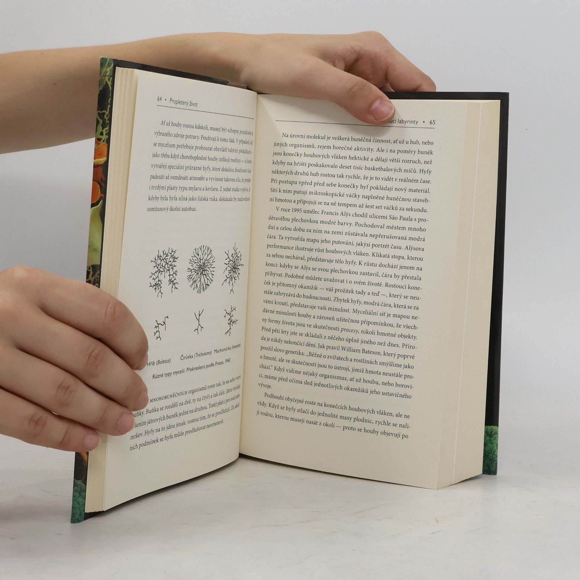 Merlin Sheldrake Propletený život. Jak houby utvářejí svět, mění naši mysl a ovlivňují budoucnost