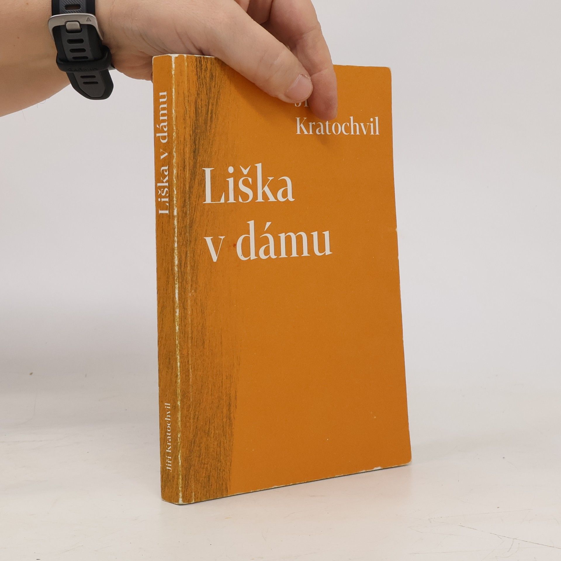 Liška v dámu