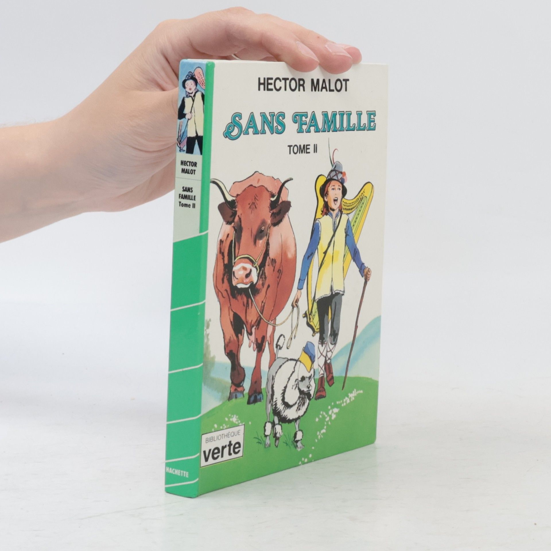 Hector Malot Sans Famille. Tome II.