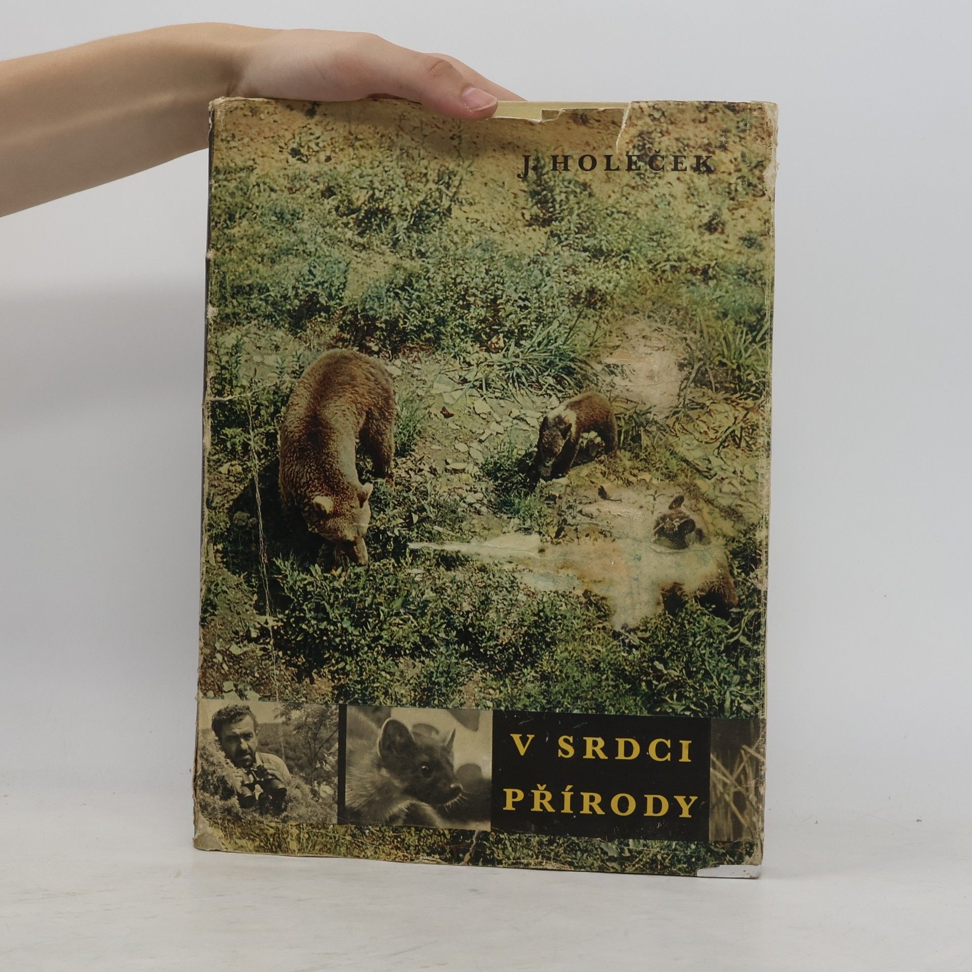 Jaroslav Holeček V srdci přírody