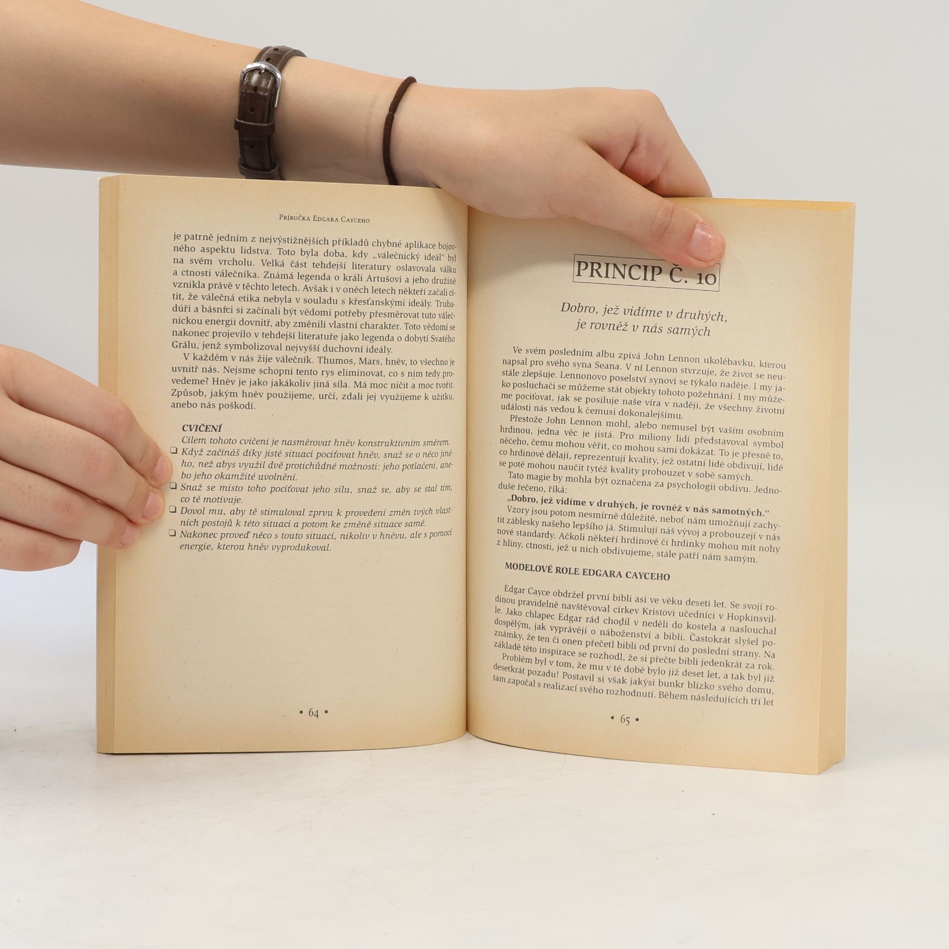 Edgar Cayce Jak správně žít : příručka o 24 principech