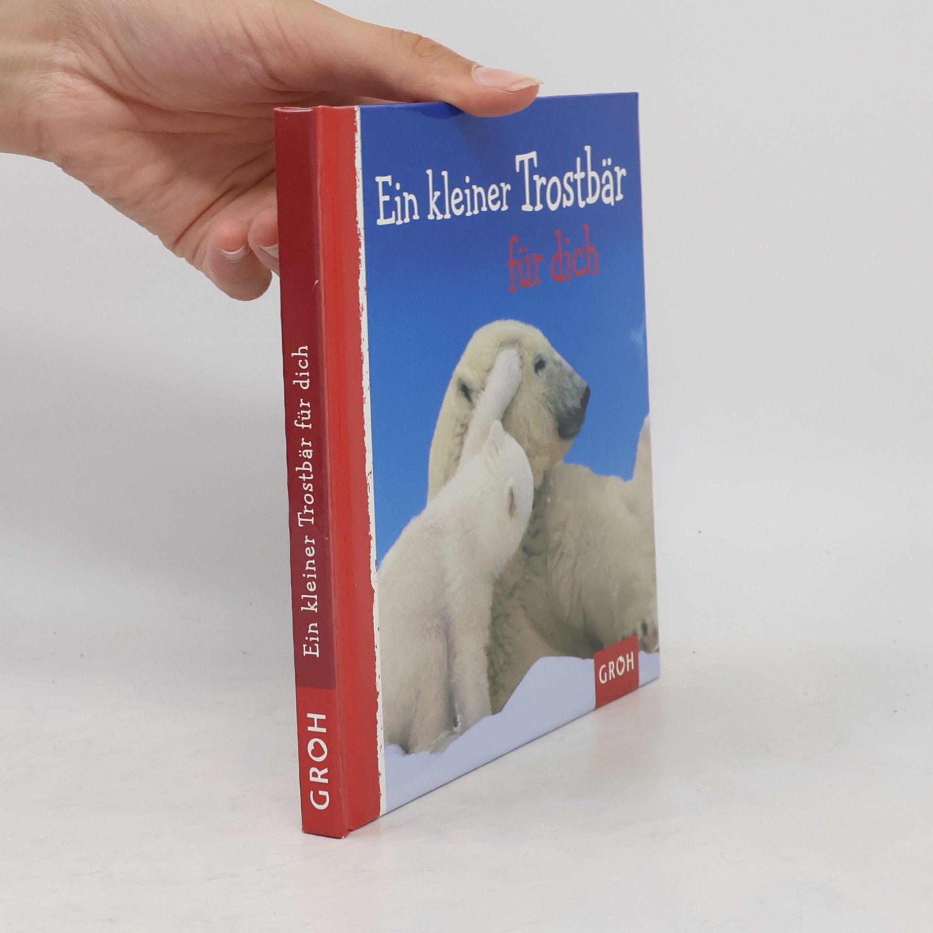 Dorothée Bleker Ein kleiner Trostbär für dich