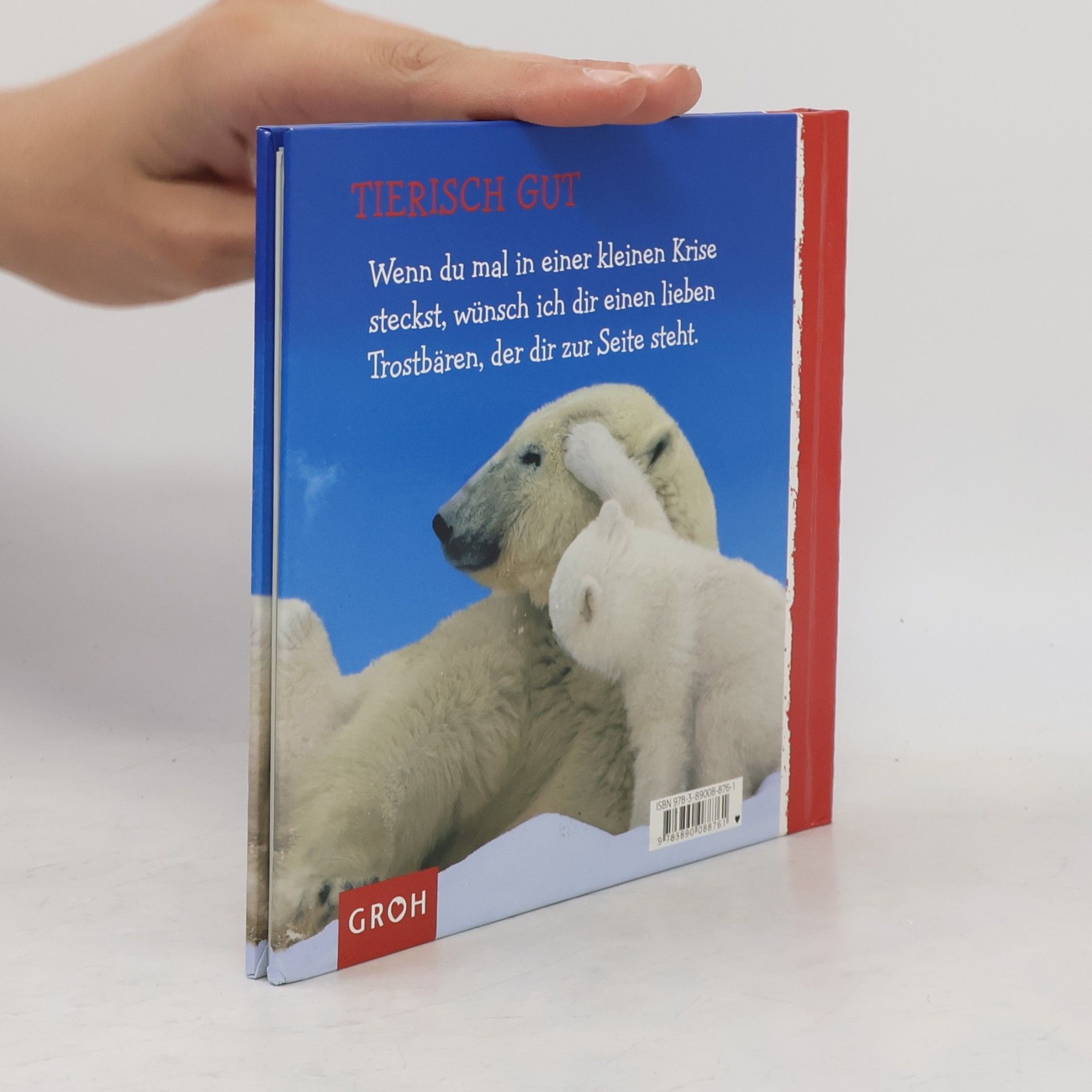 Dorothée Bleker Ein kleiner Trostbär für dich