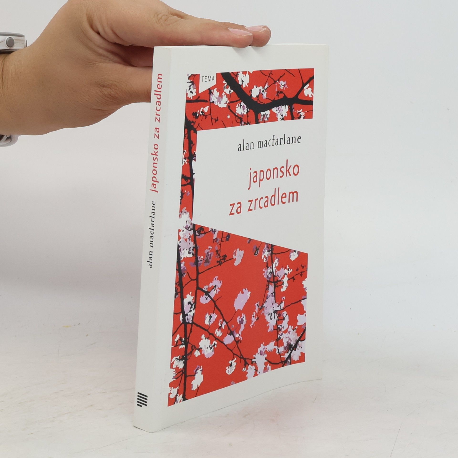 Alan Macfarlane Japonsko za zrcadlem