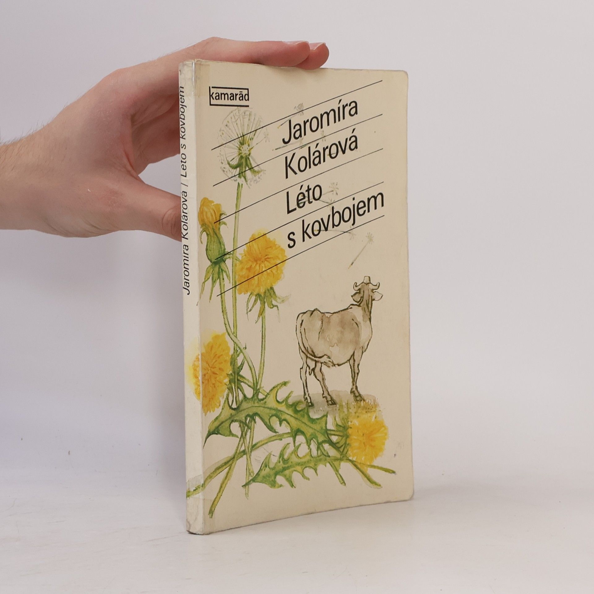 Jaromíra Kolárová Léto s kovbojem