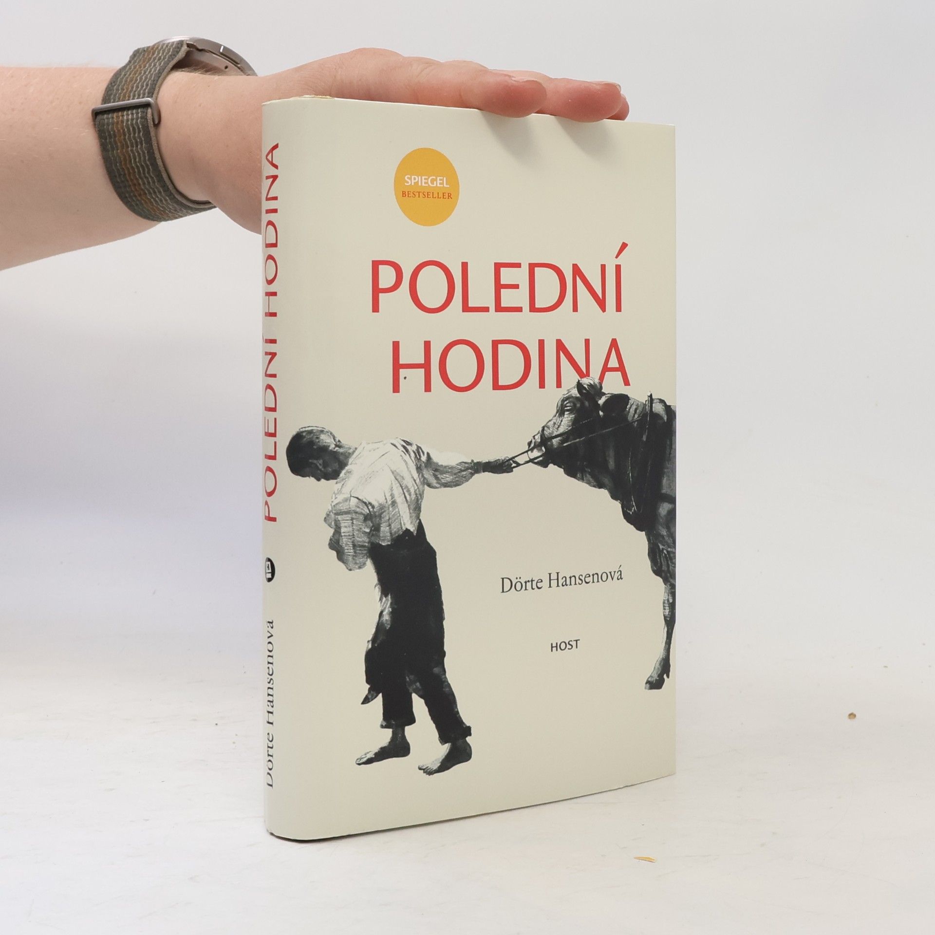 Dörte Hansen Polední hodina