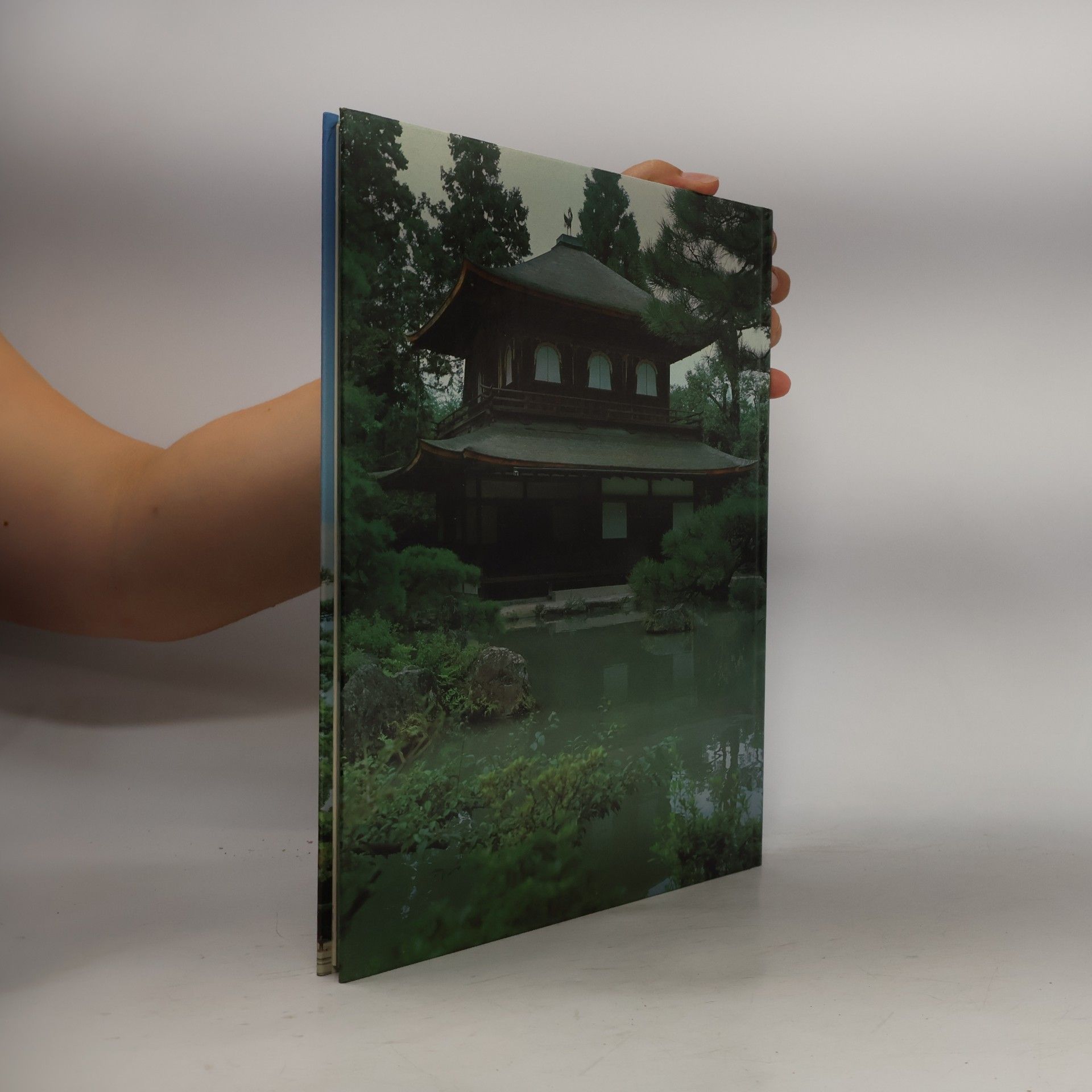 Autorenkollektiv Mein Traumland Japan