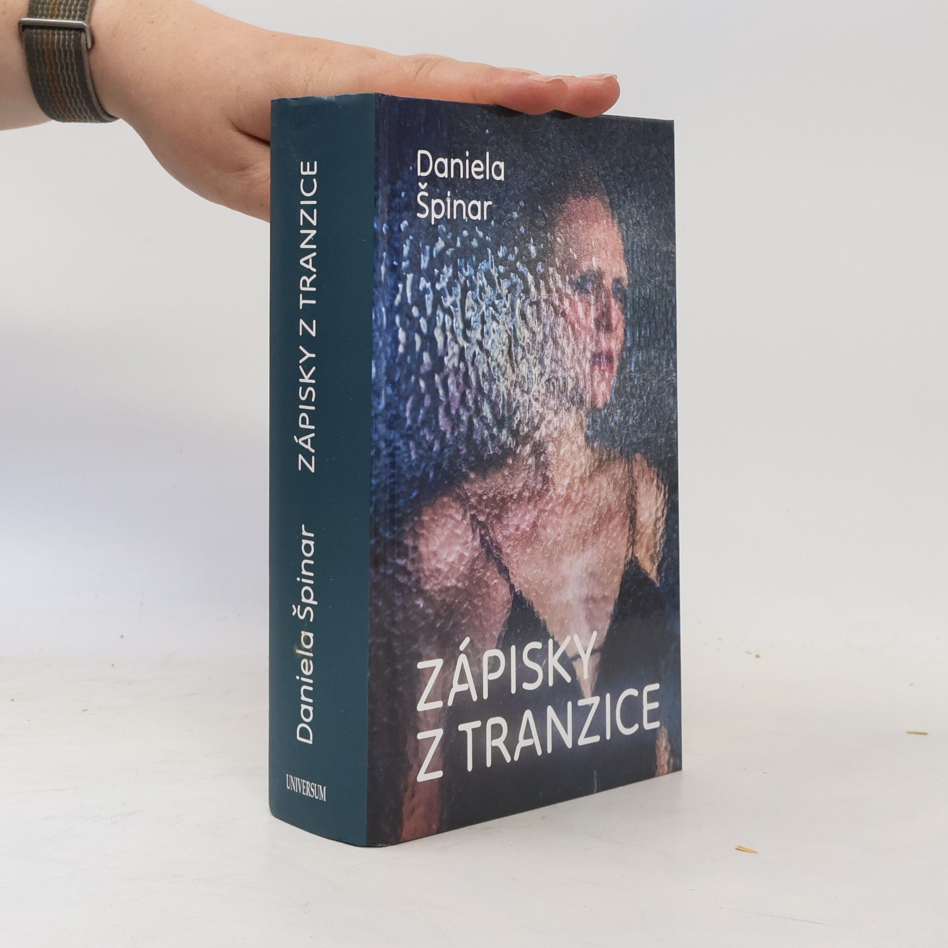 Daniela Špinar Zápisky z tranzice
