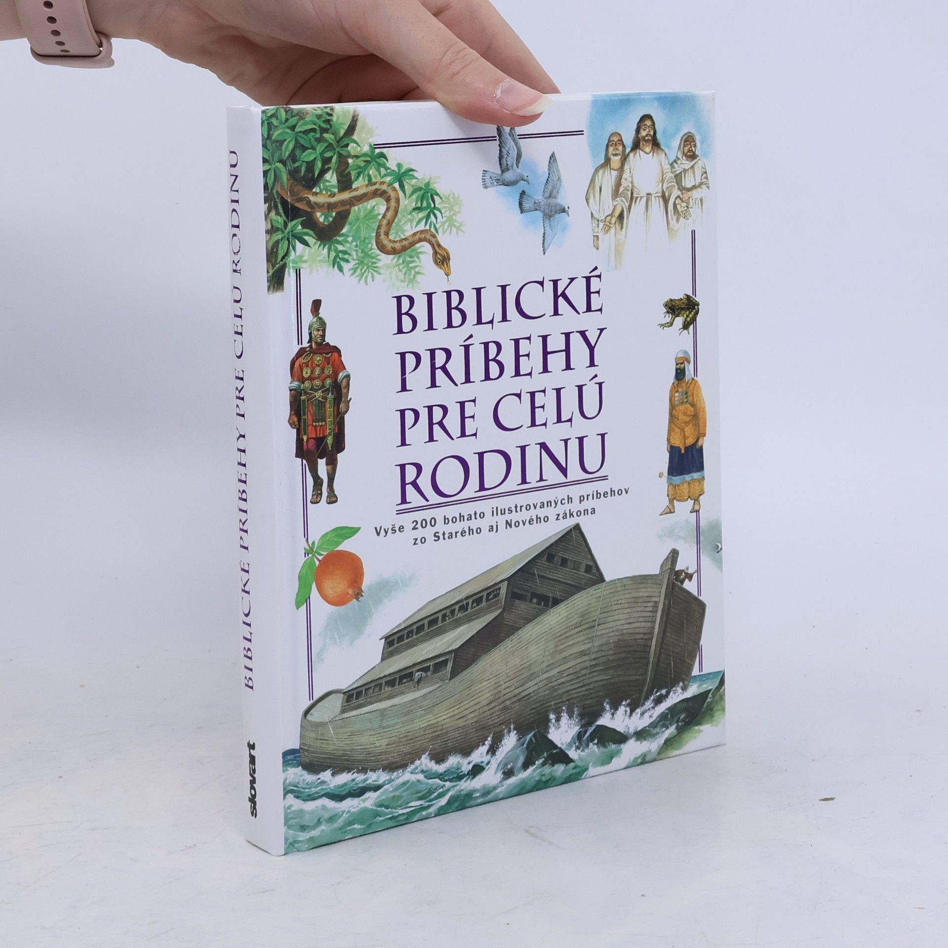 Autorenkollektiv Biblické príbehy pre celú rodinu