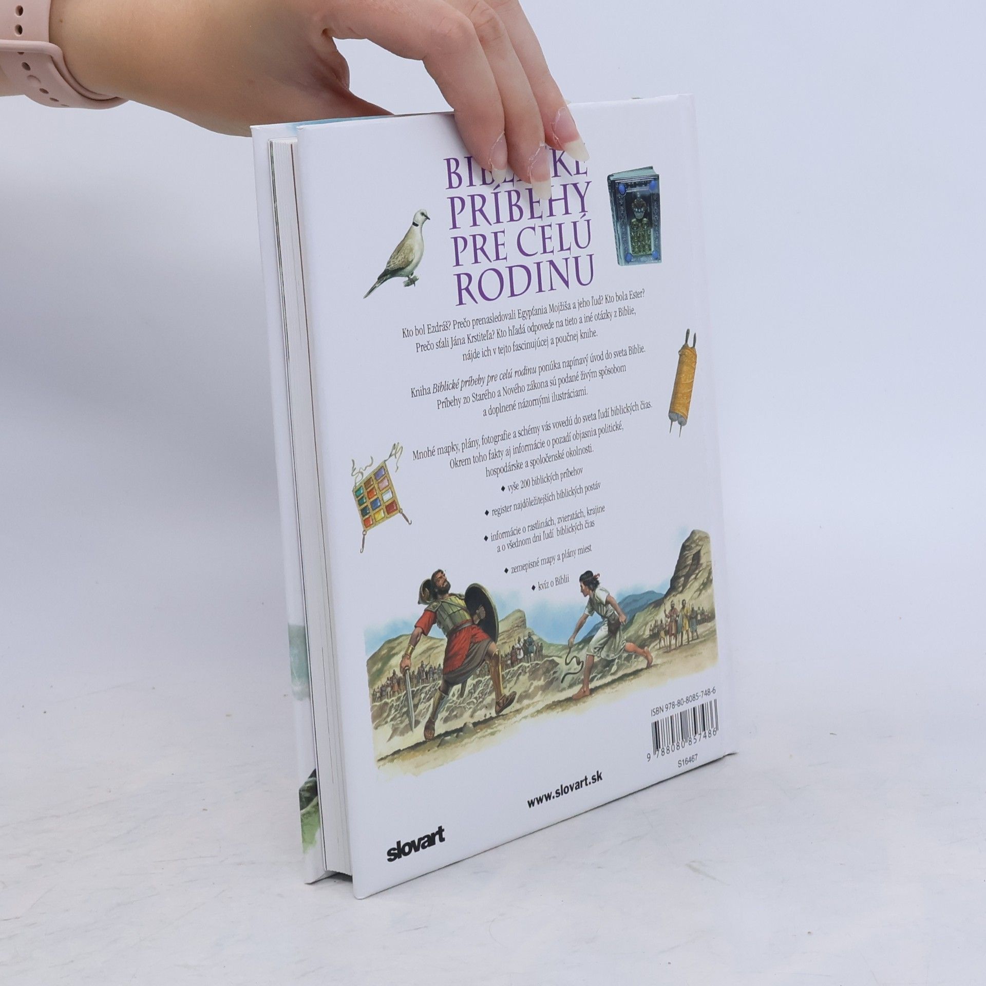 Autorenkollektiv Biblické príbehy pre celú rodinu